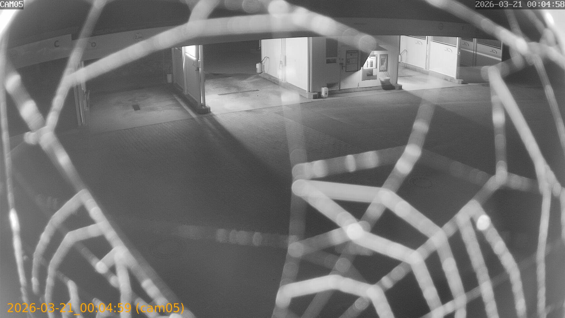 thumbnail_202603210004