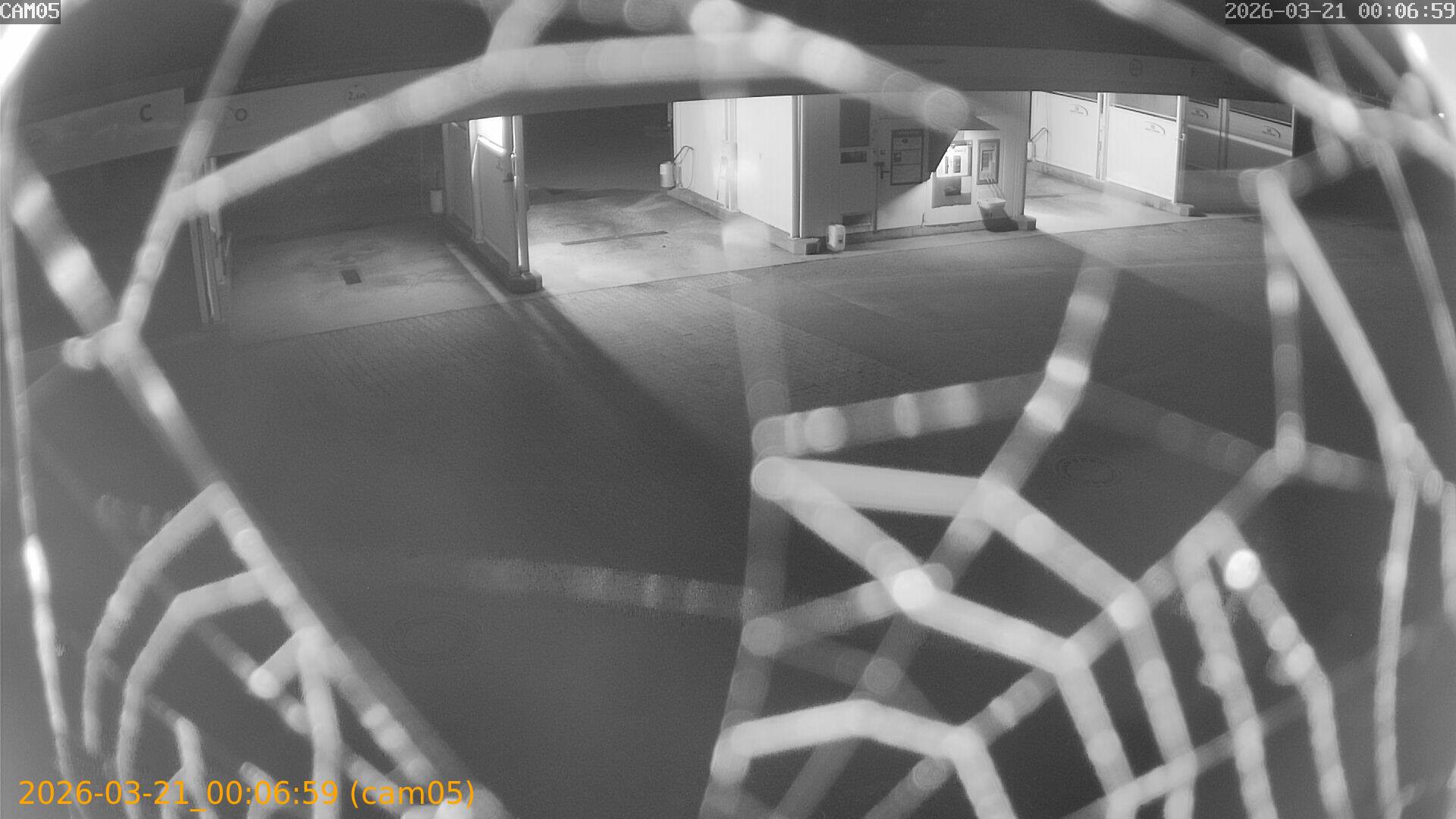 thumbnail_202603210006