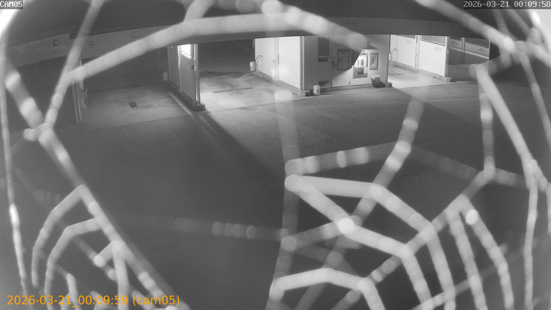 thumbnail_202603210009