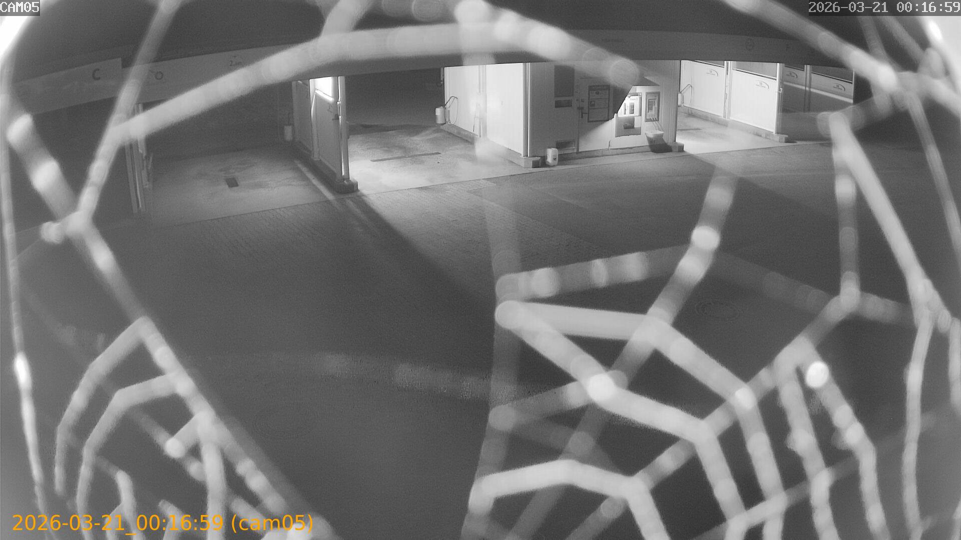 thumbnail_202603210016