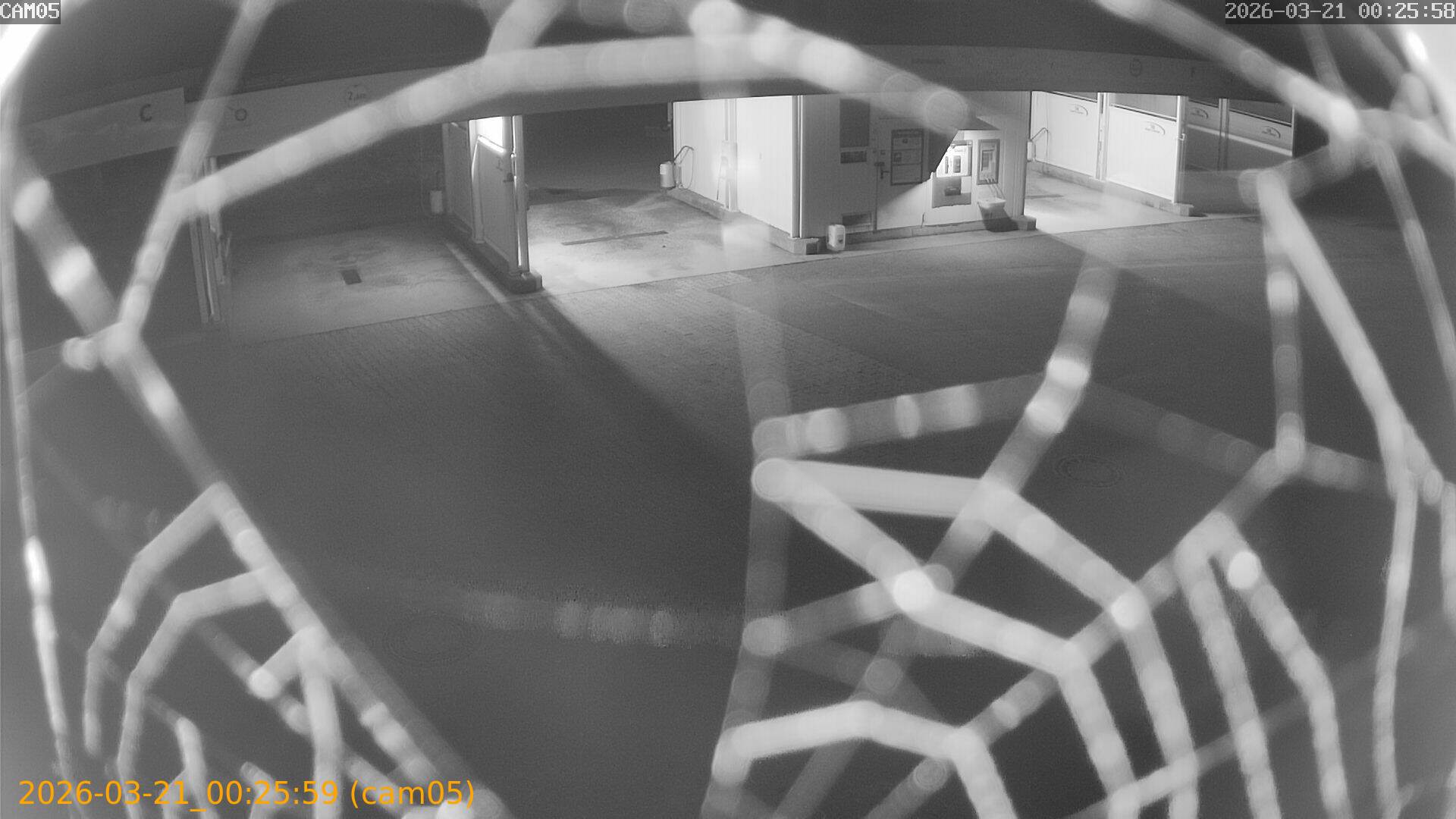 thumbnail_202603210025