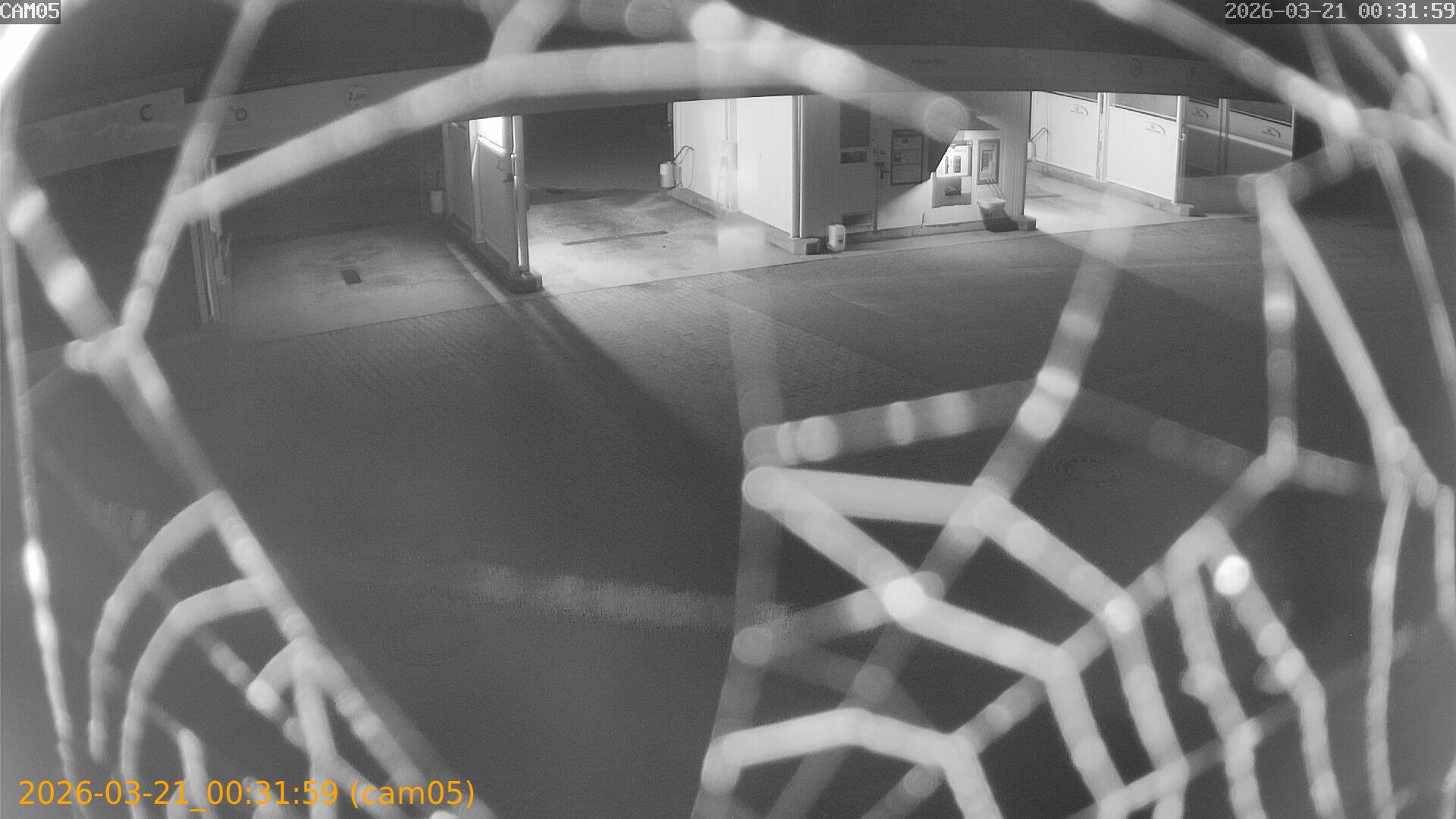 thumbnail_202603210031