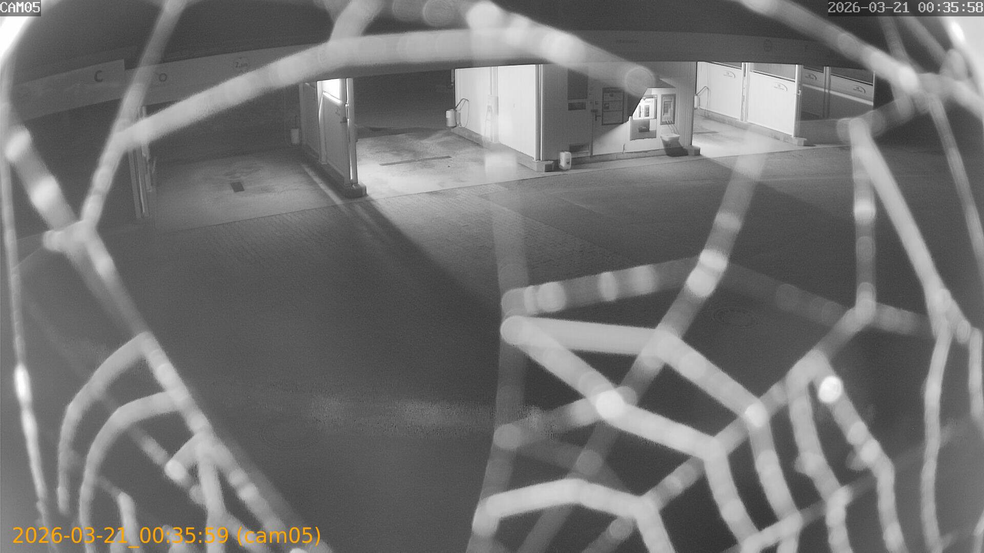 thumbnail_202603210035