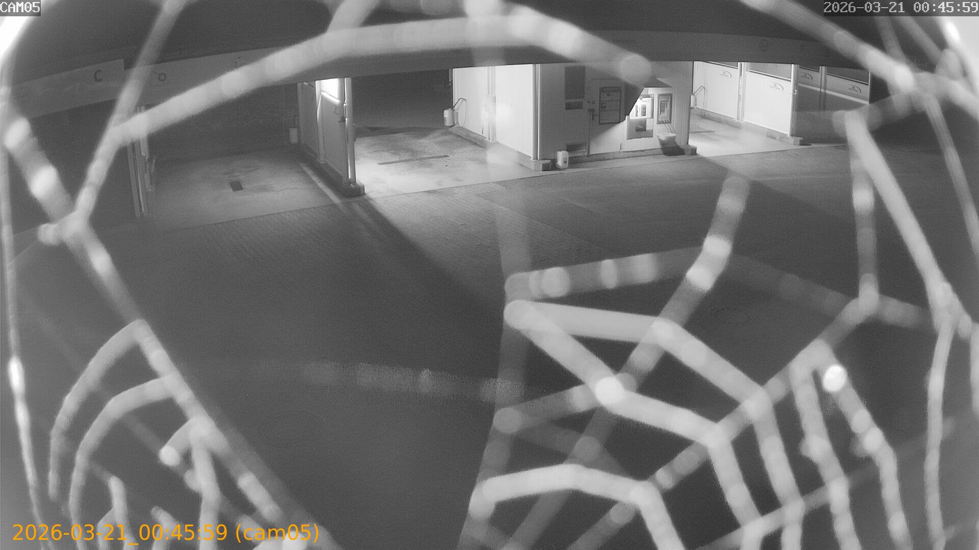 thumbnail_202603210045