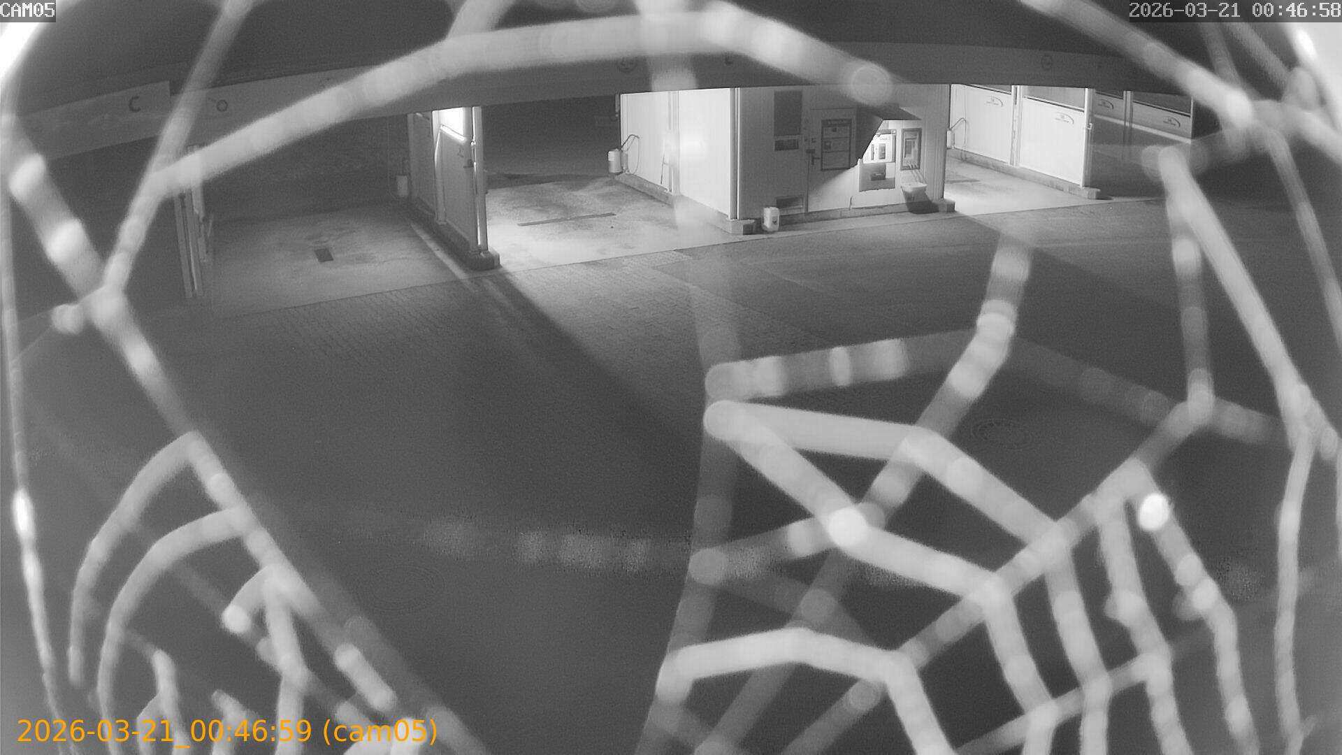 thumbnail_202603210046