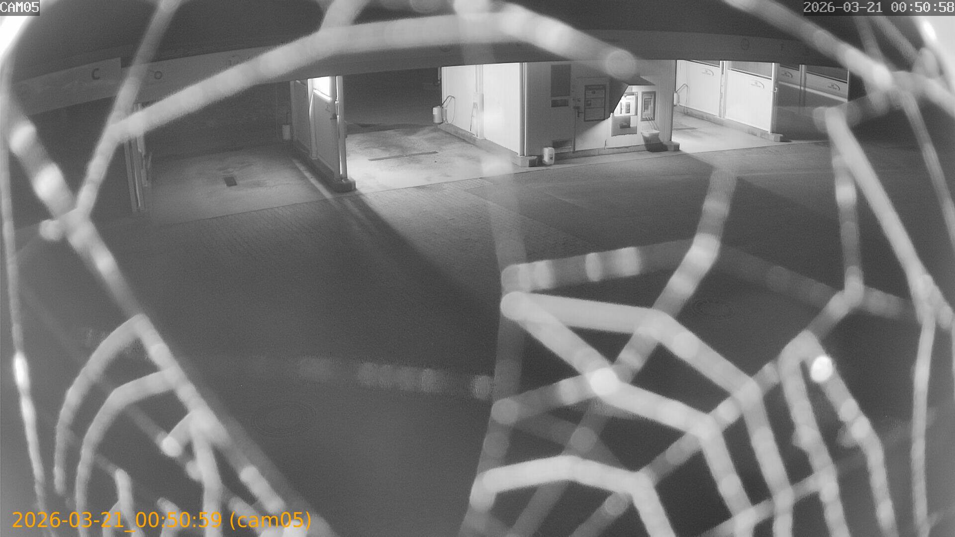 thumbnail_202603210050