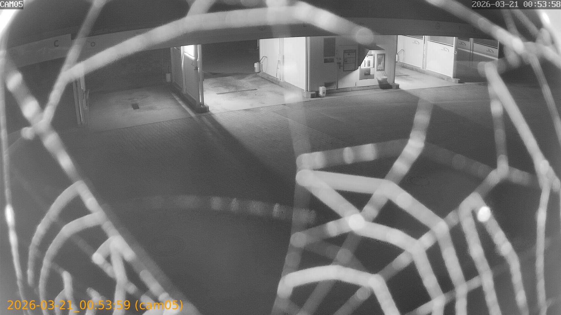 thumbnail_202603210053