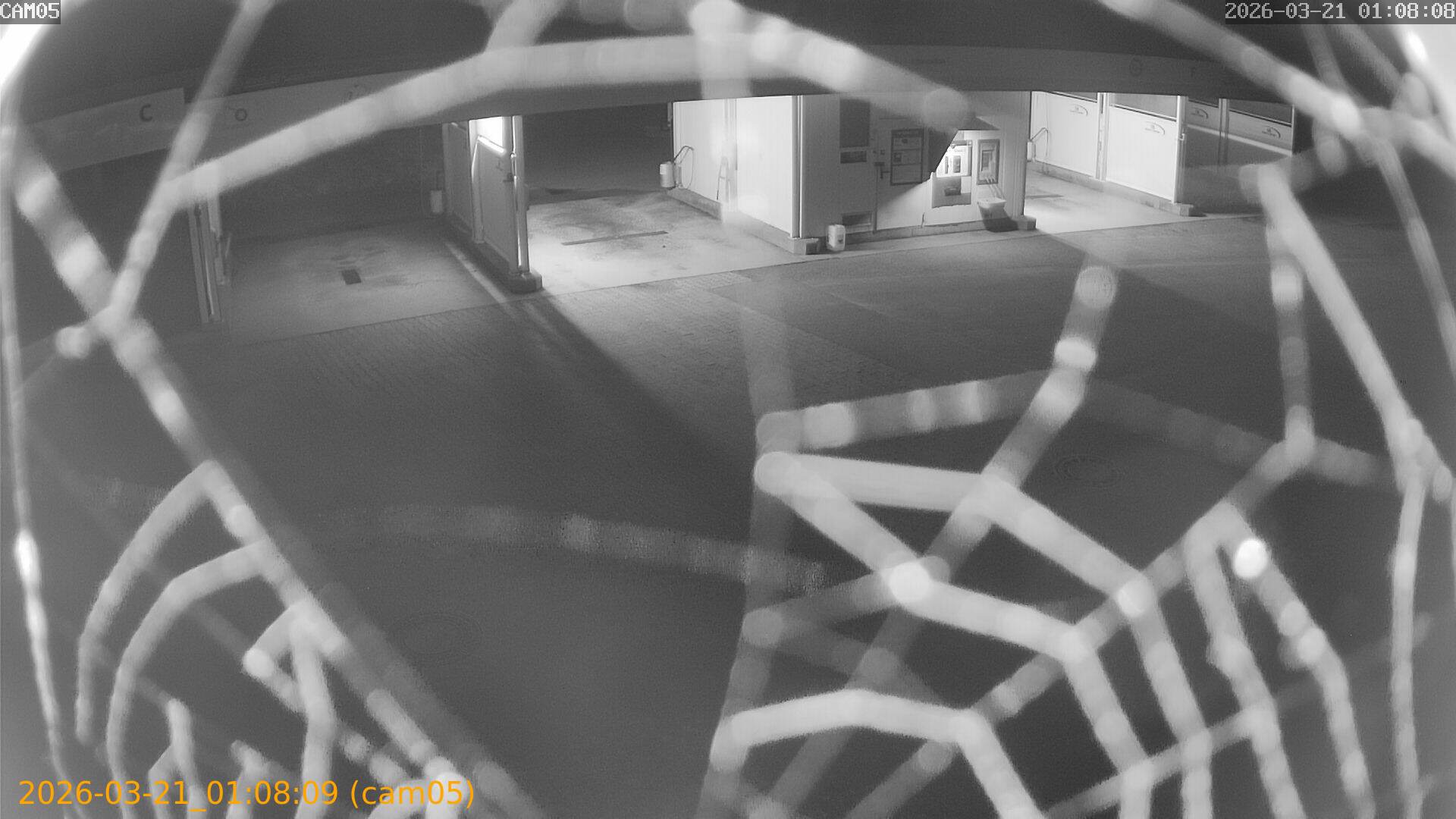 thumbnail_20260321010809