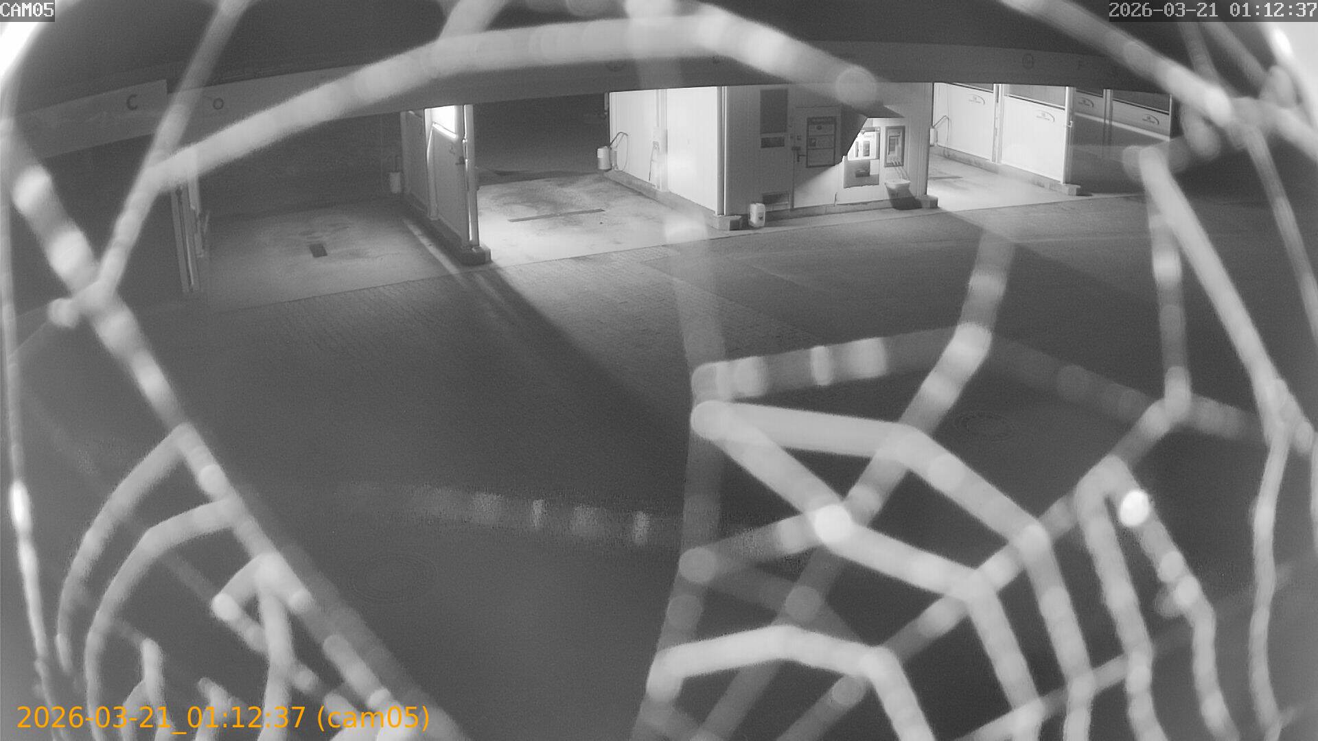 thumbnail_20260321011237