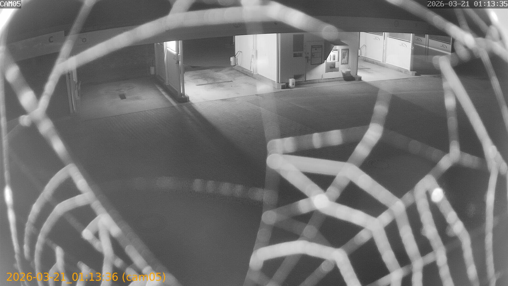 thumbnail_20260321011336