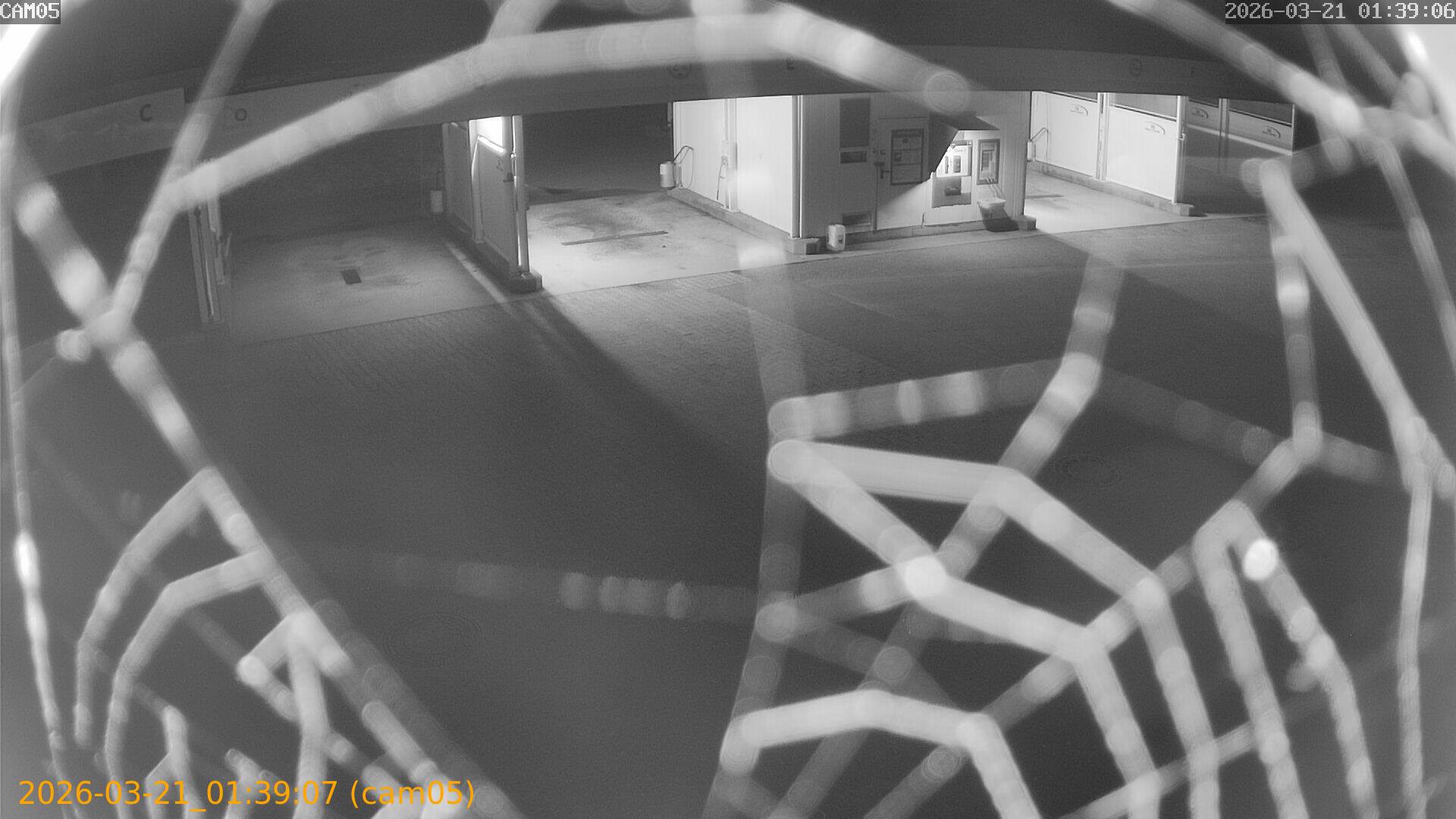 thumbnail_20260321013907