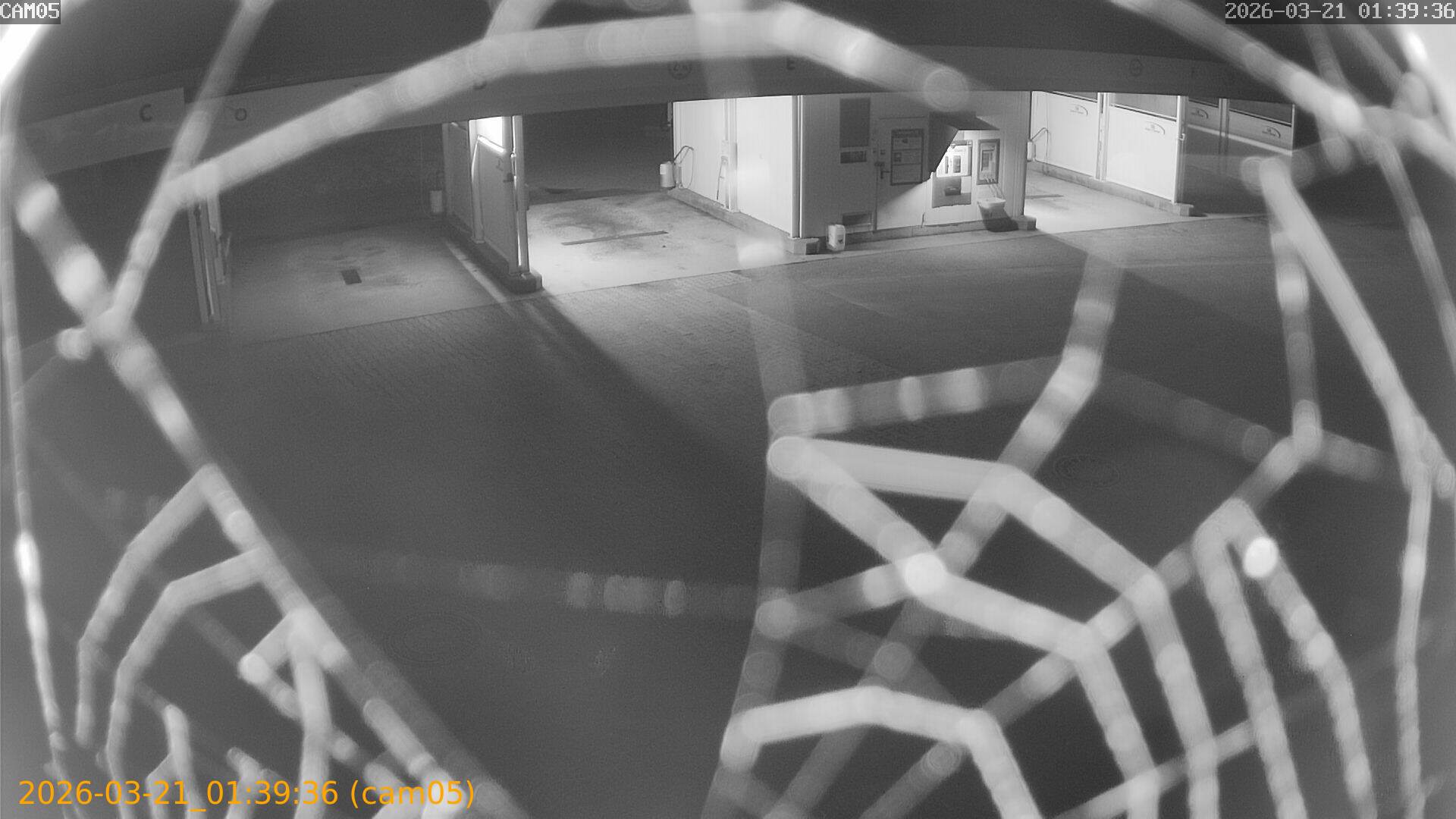 thumbnail_20260321013936