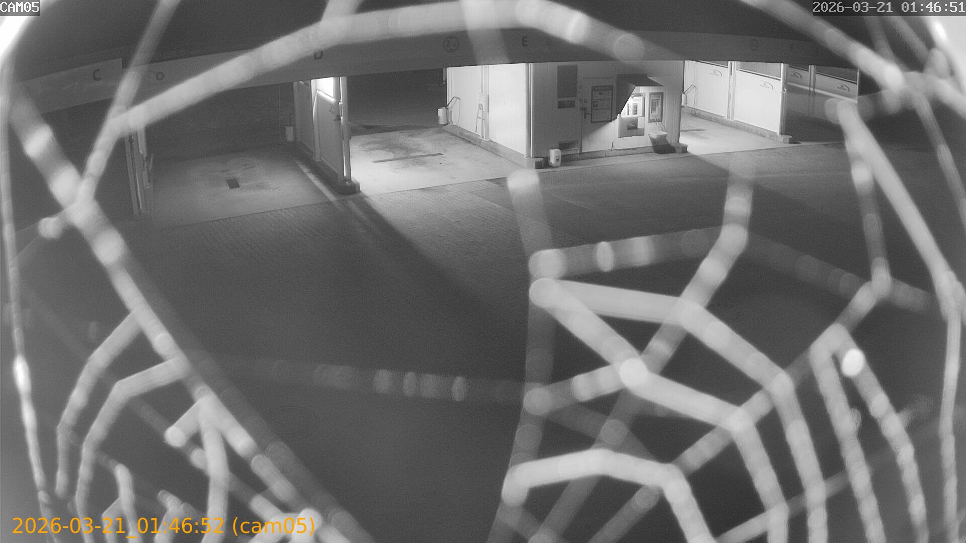 thumbnail_20260321014652