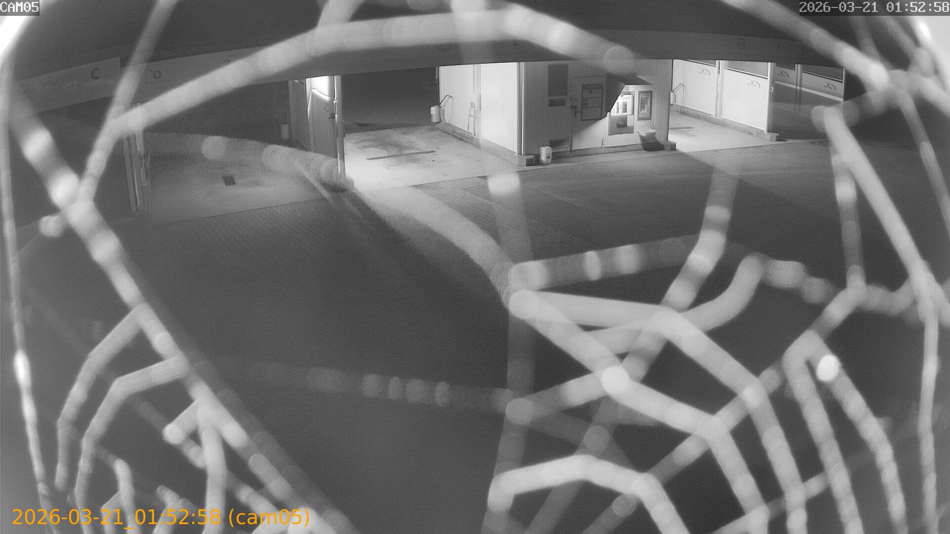 thumbnail_20260321015258