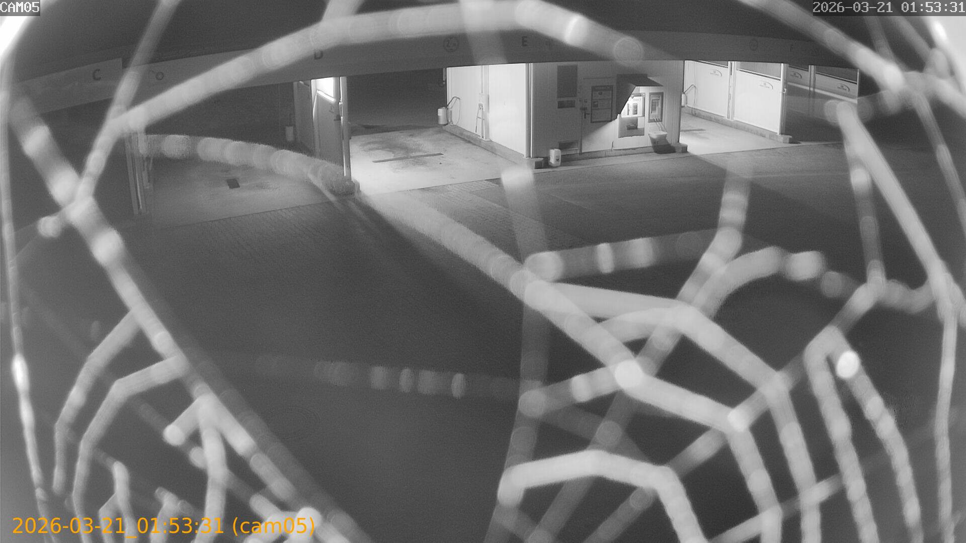 thumbnail_20260321015331