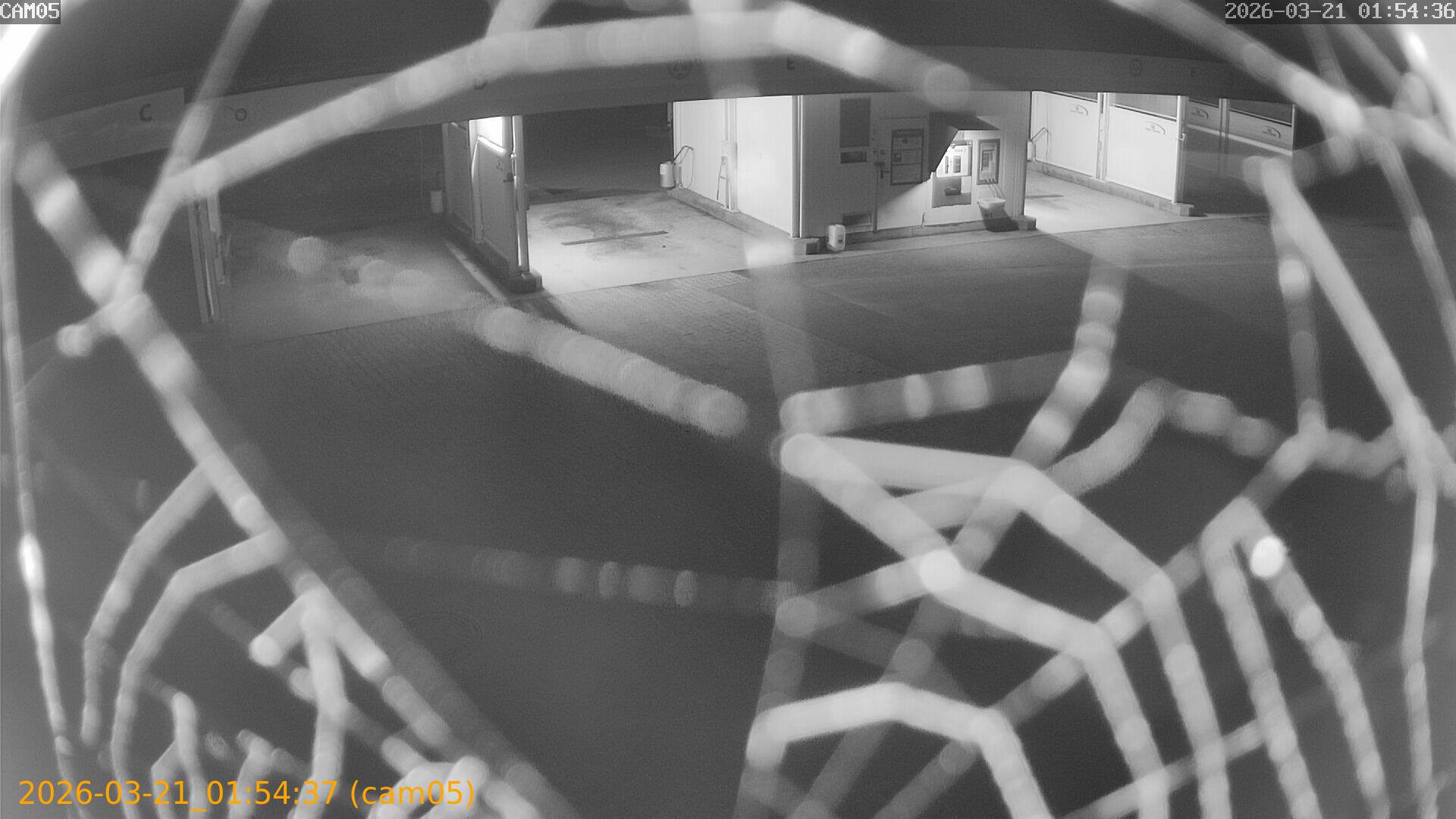 thumbnail_20260321015437