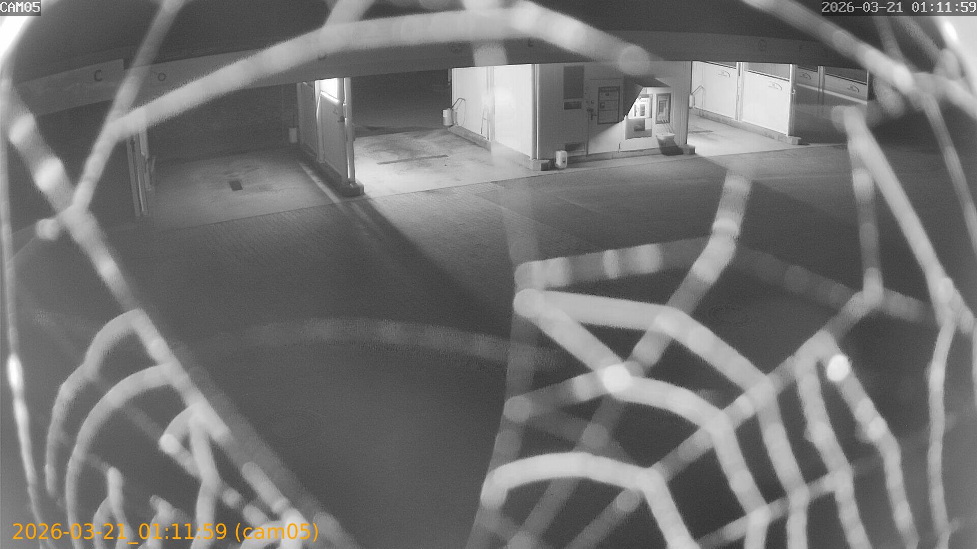 thumbnail_202603210111