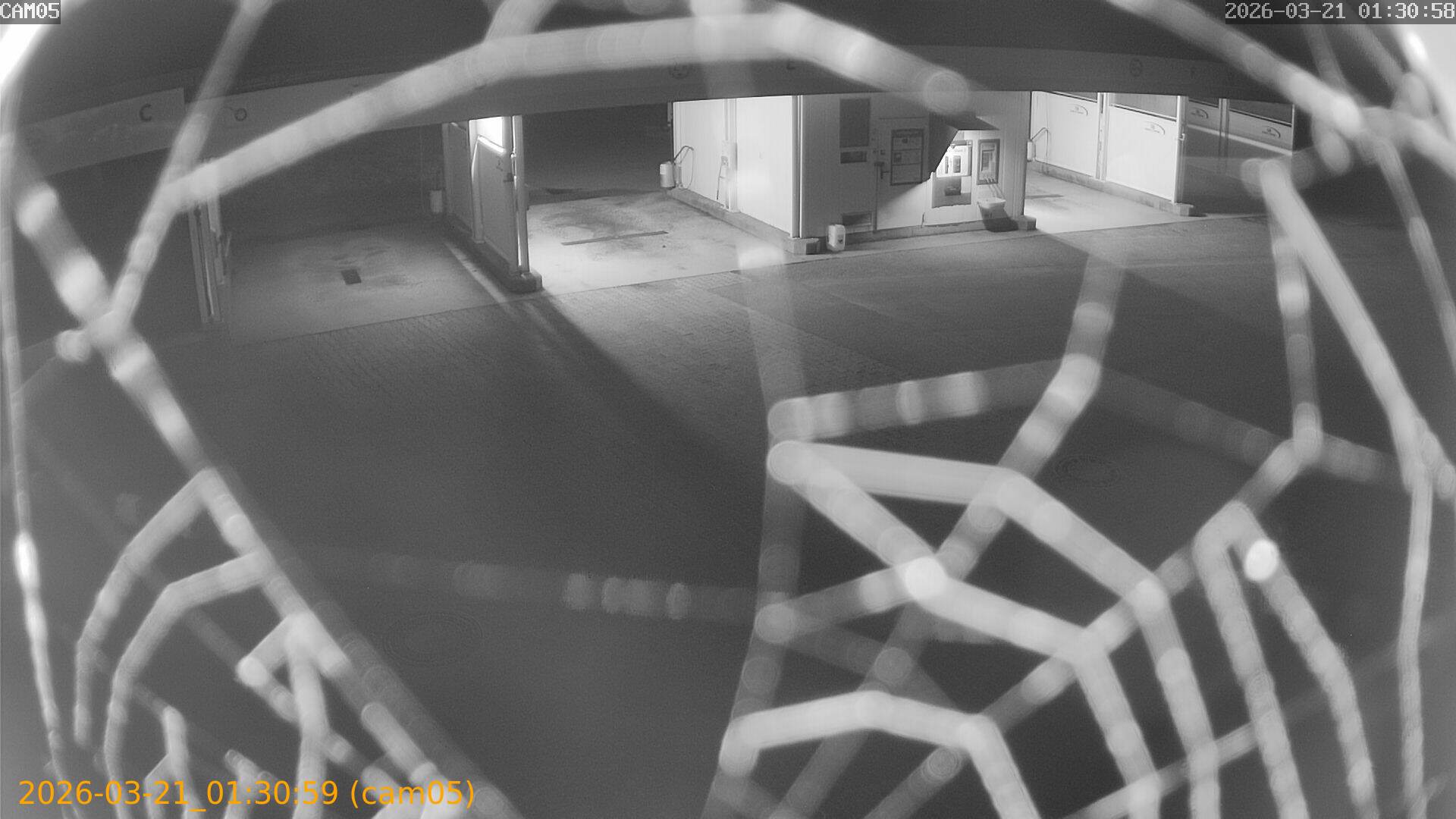 thumbnail_202603210130