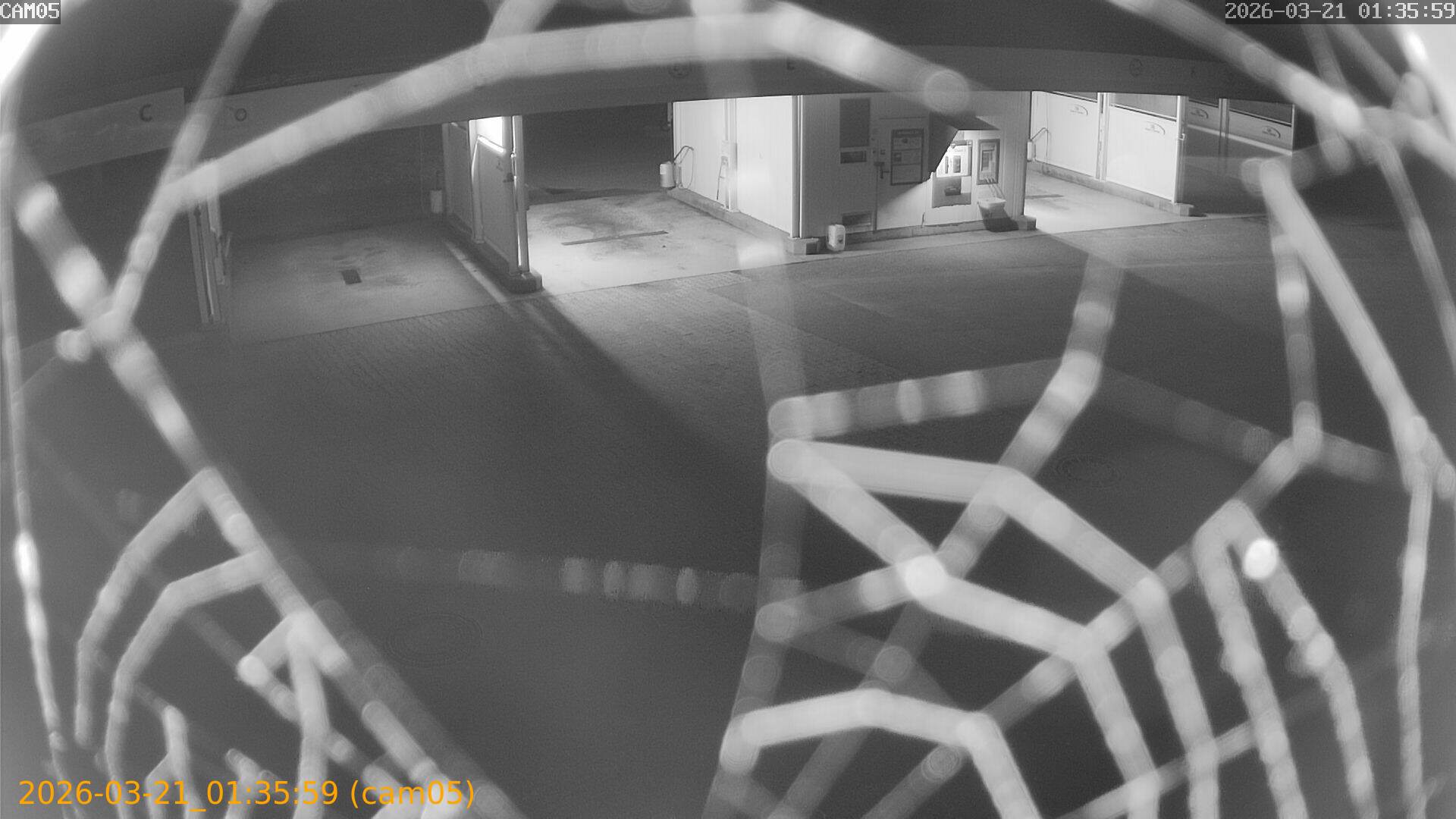 thumbnail_202603210135