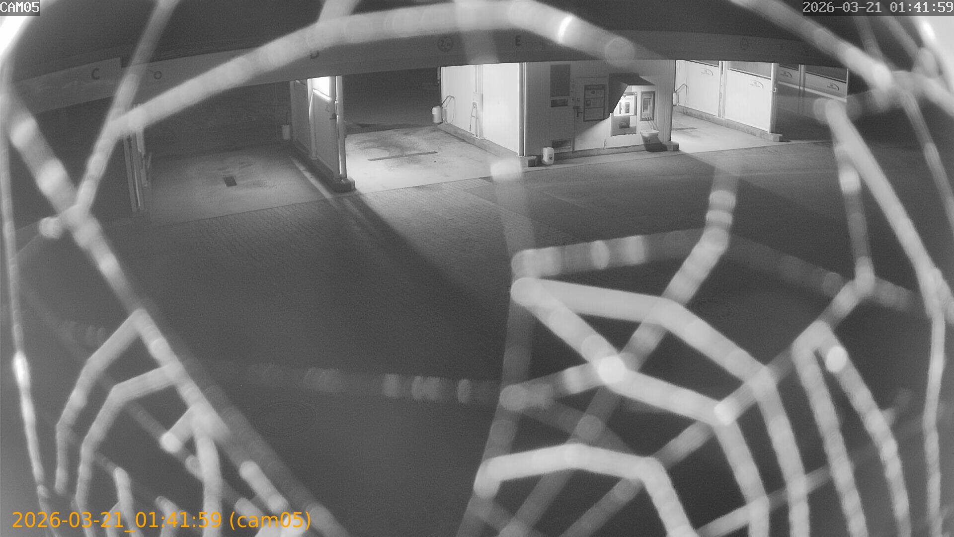 thumbnail_202603210141