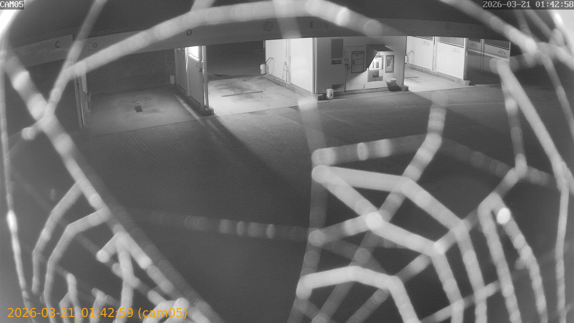 thumbnail_202603210142