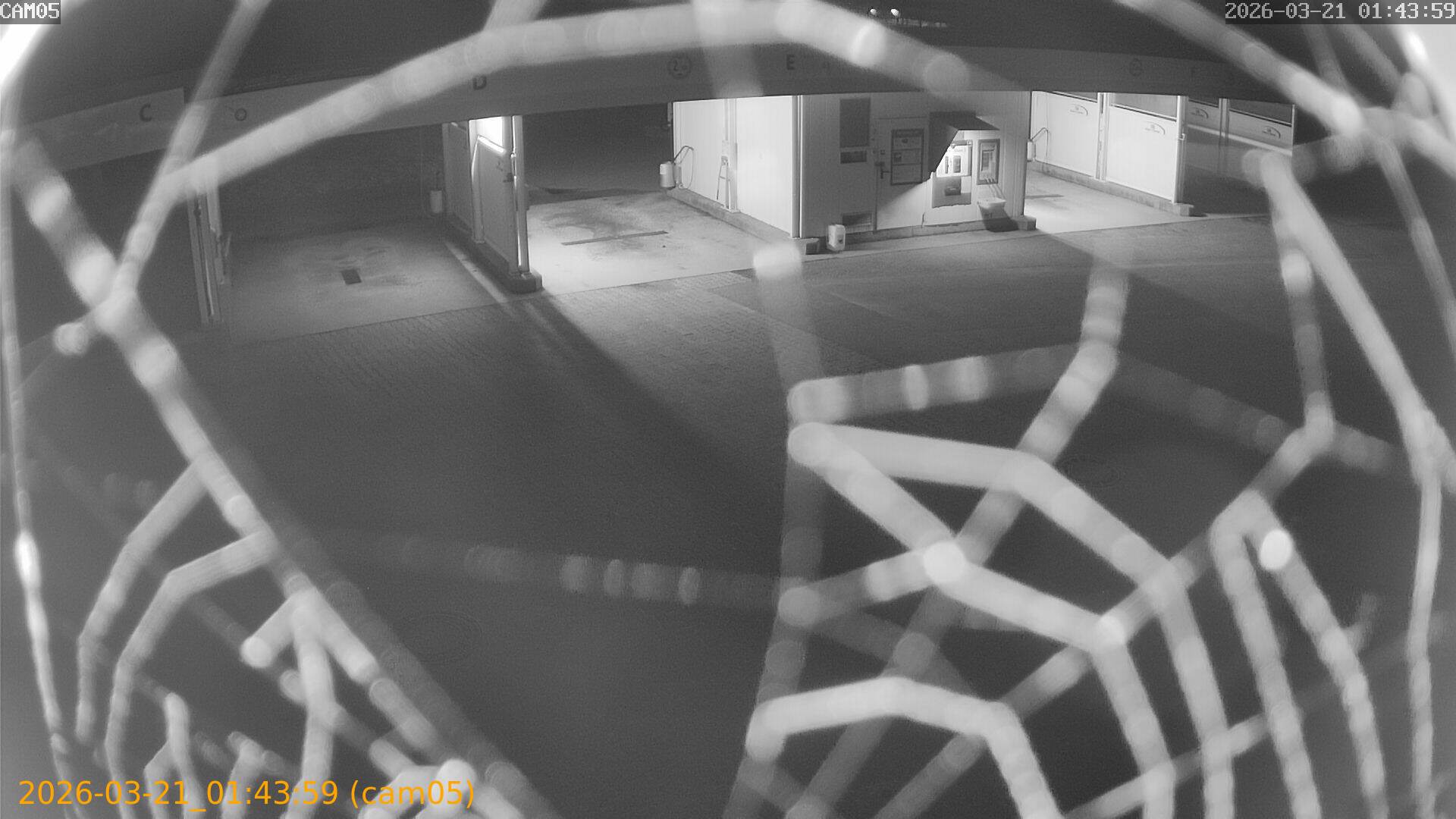 thumbnail_202603210143