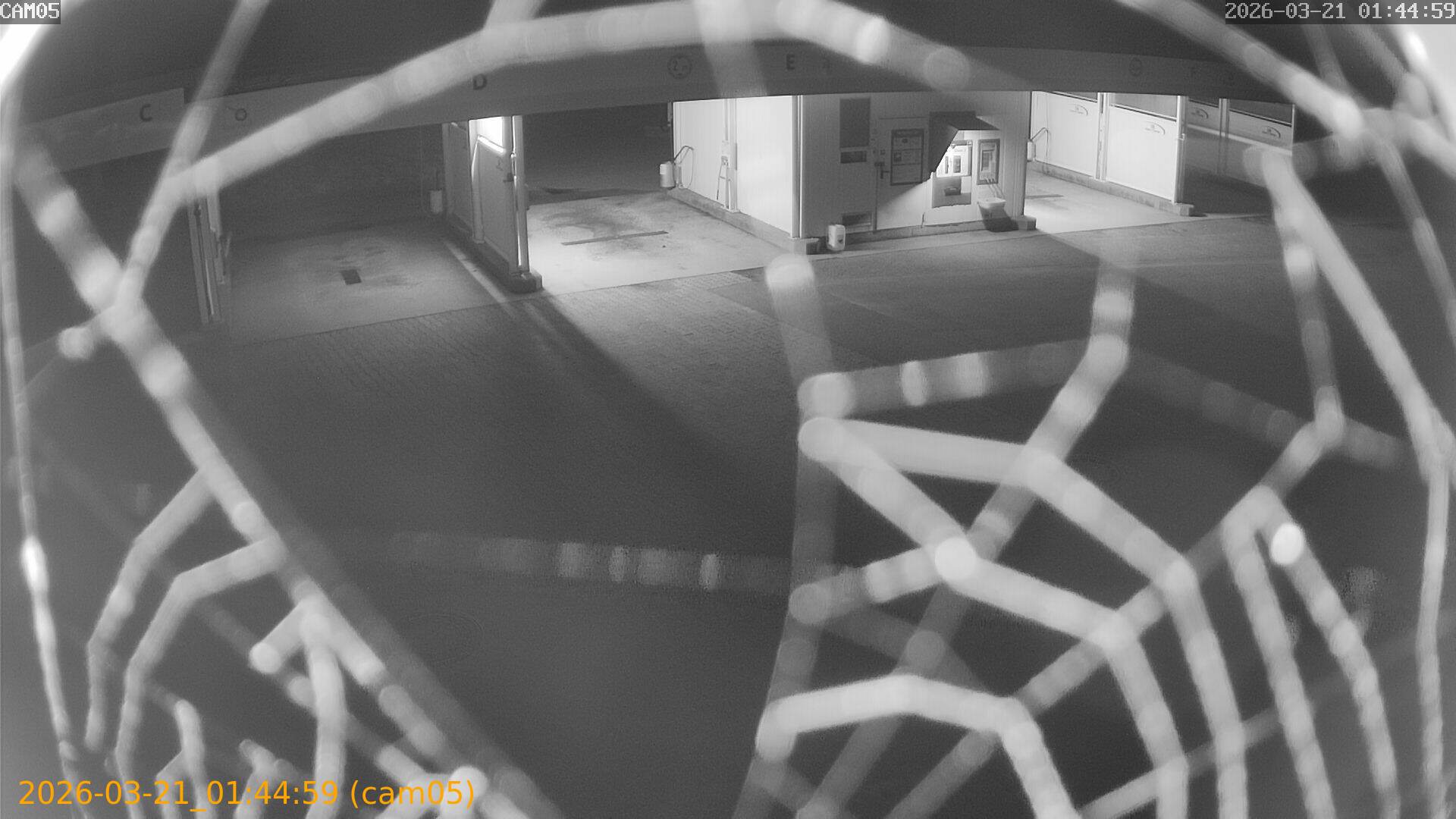 thumbnail_202603210144