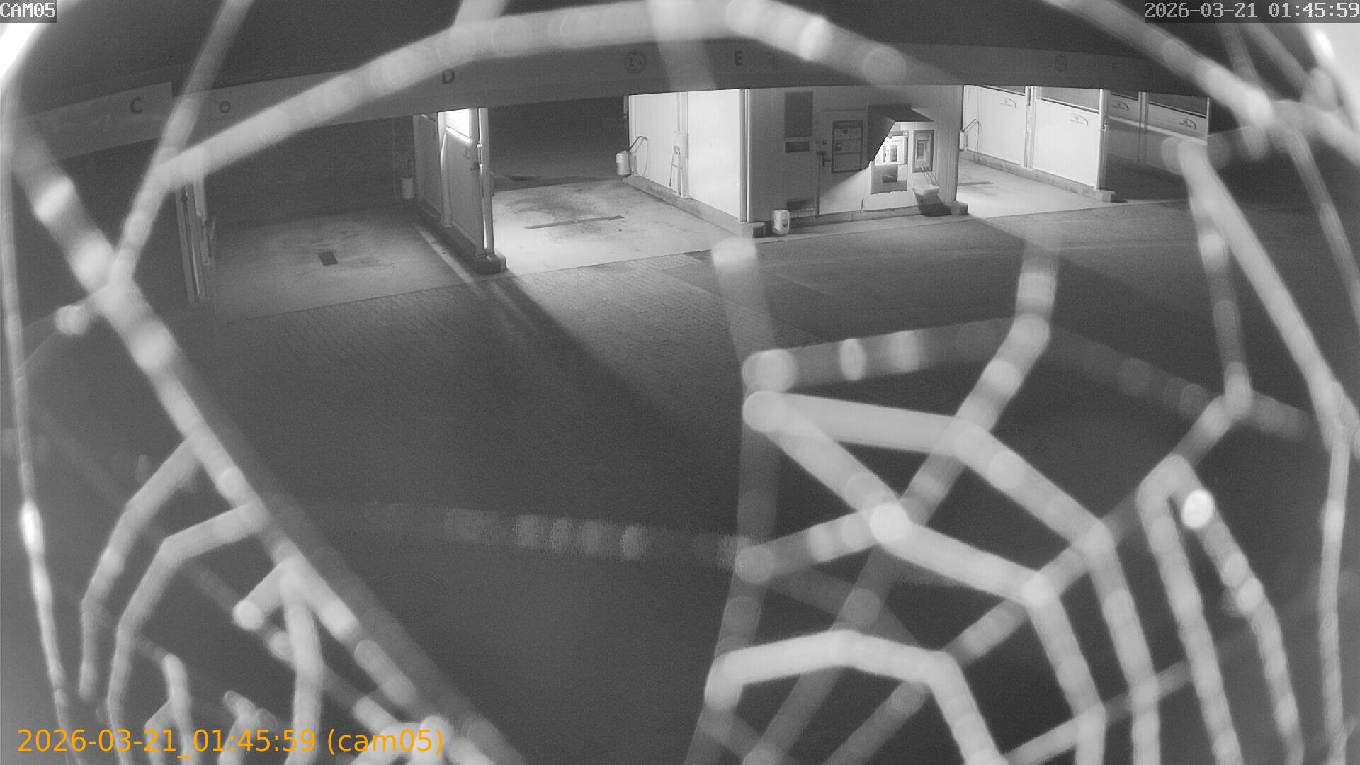 thumbnail_202603210145