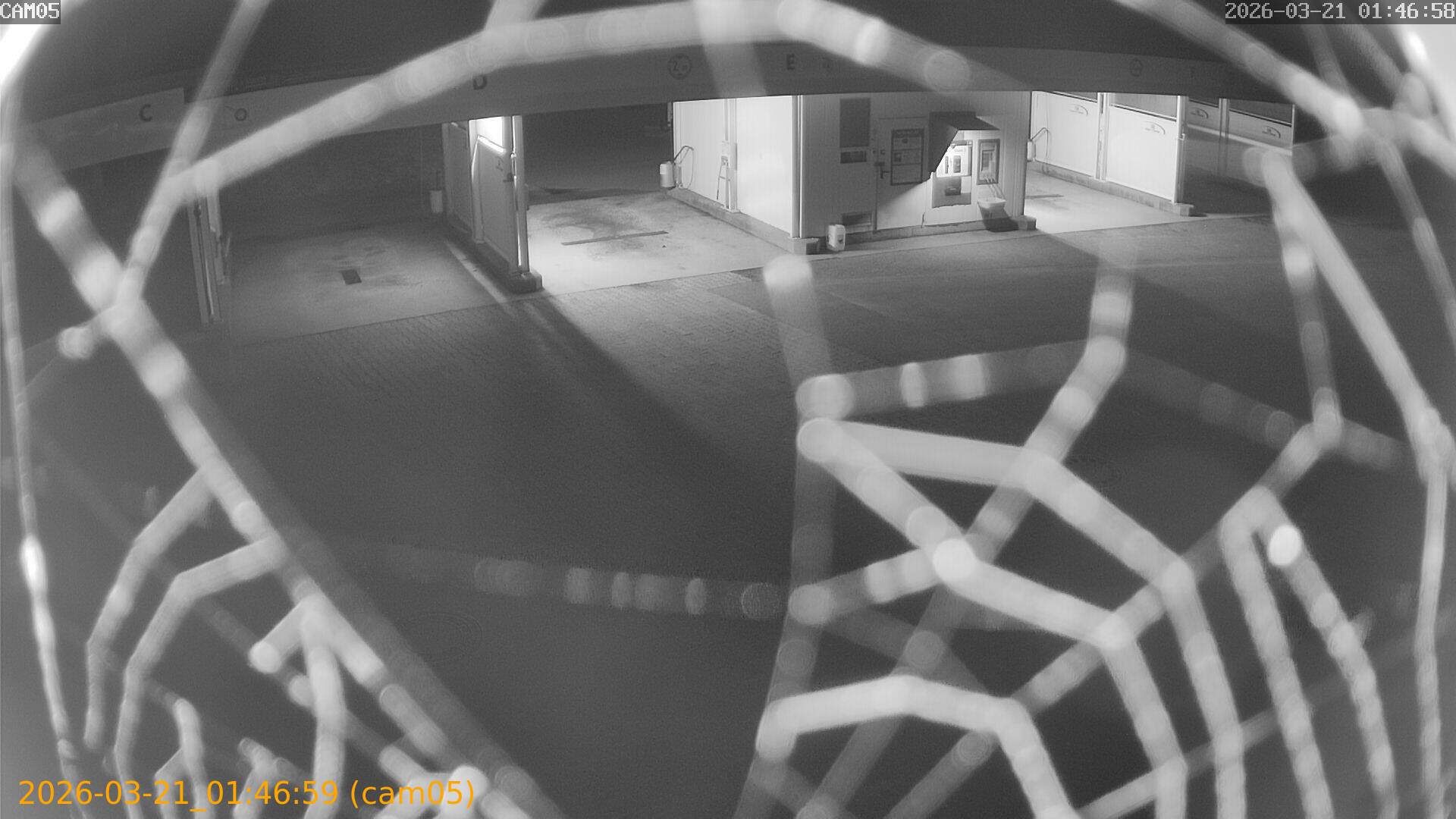 thumbnail_202603210146