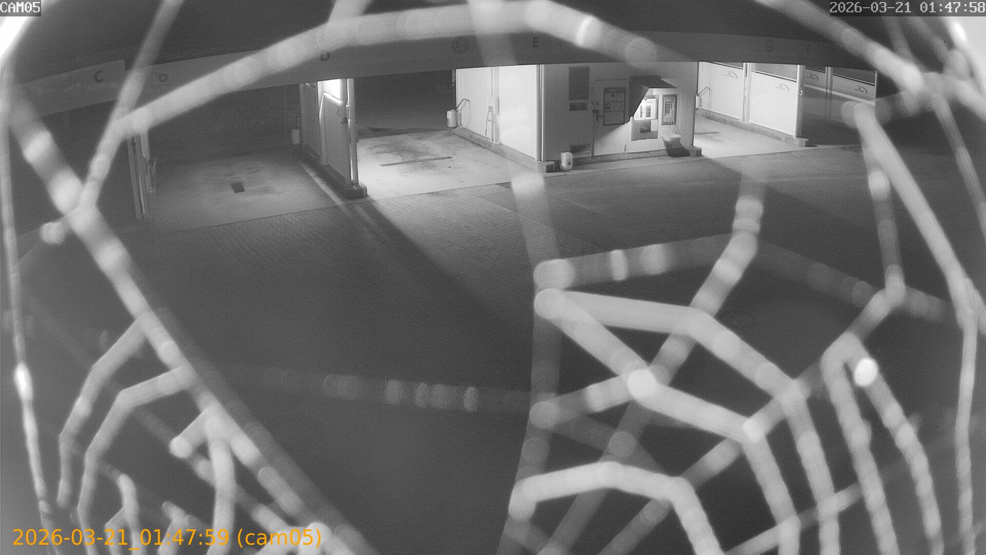 thumbnail_202603210147