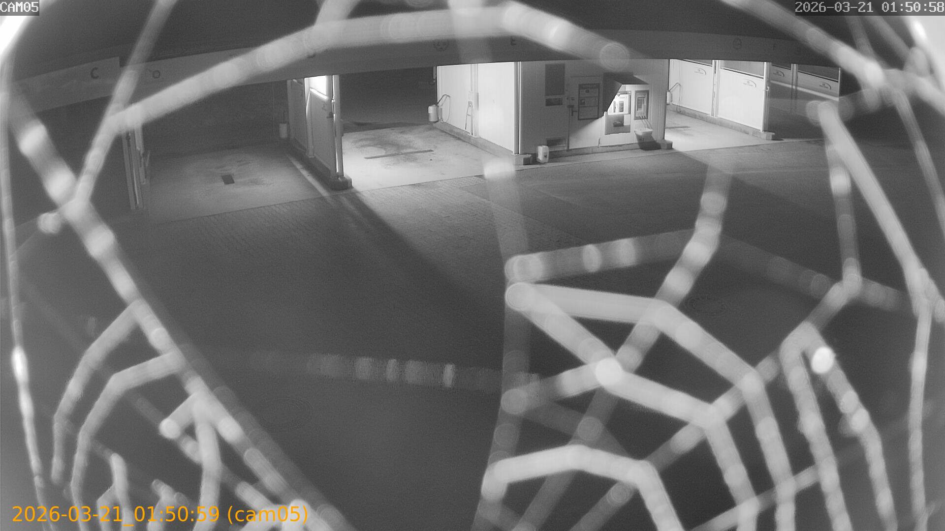 thumbnail_202603210150