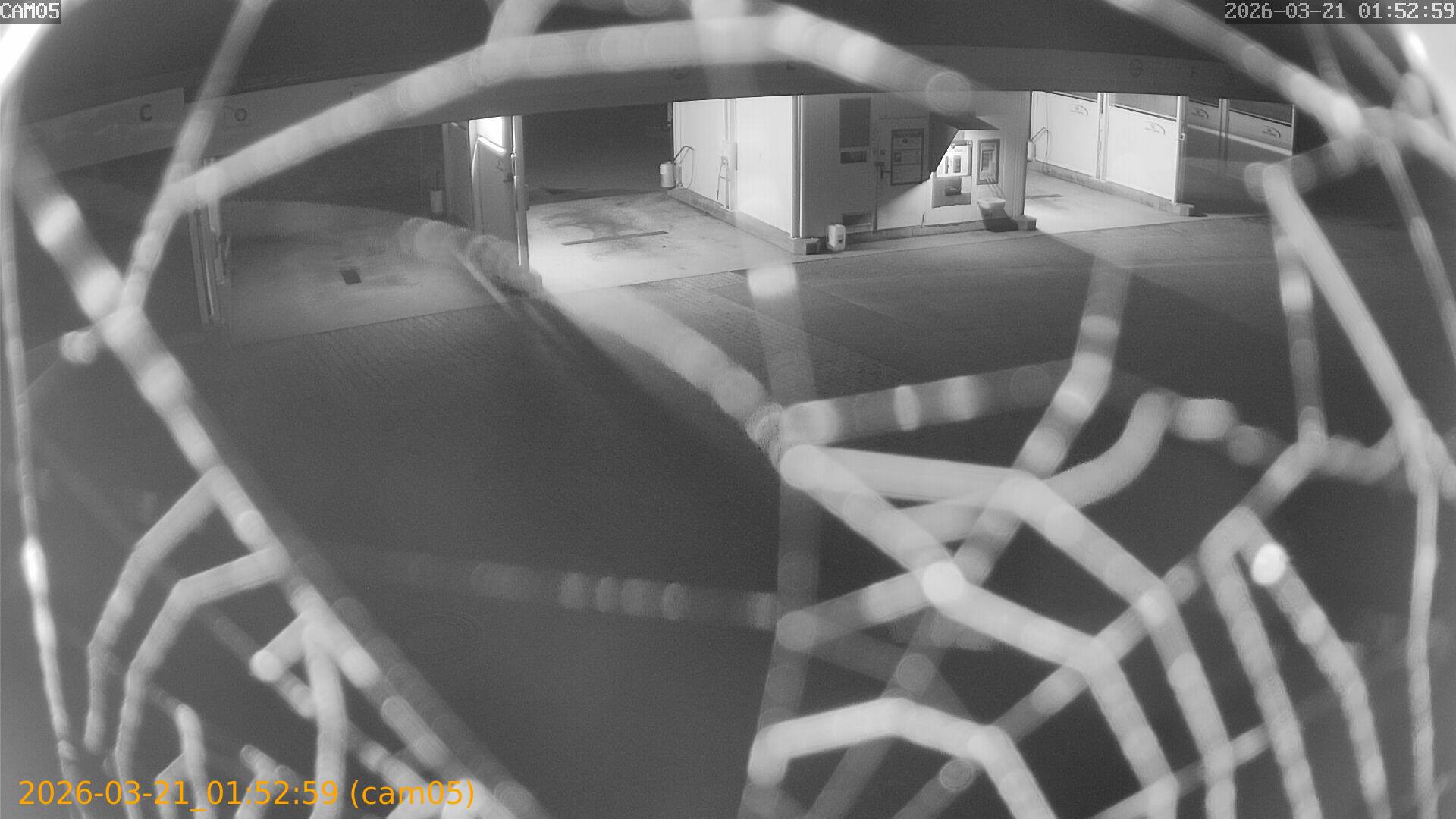 thumbnail_202603210152