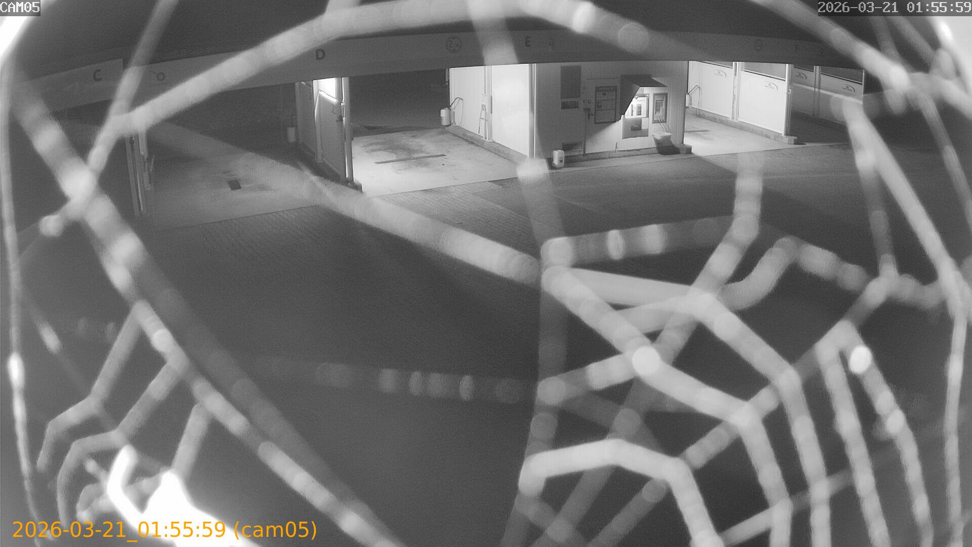 thumbnail_202603210155