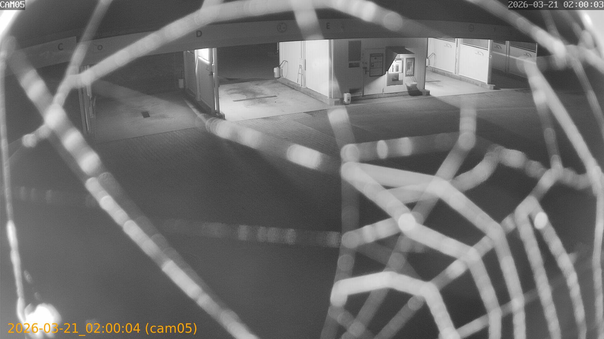 thumbnail_20260321020004