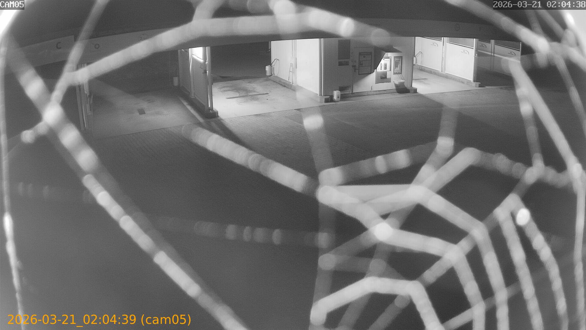 thumbnail_20260321020439