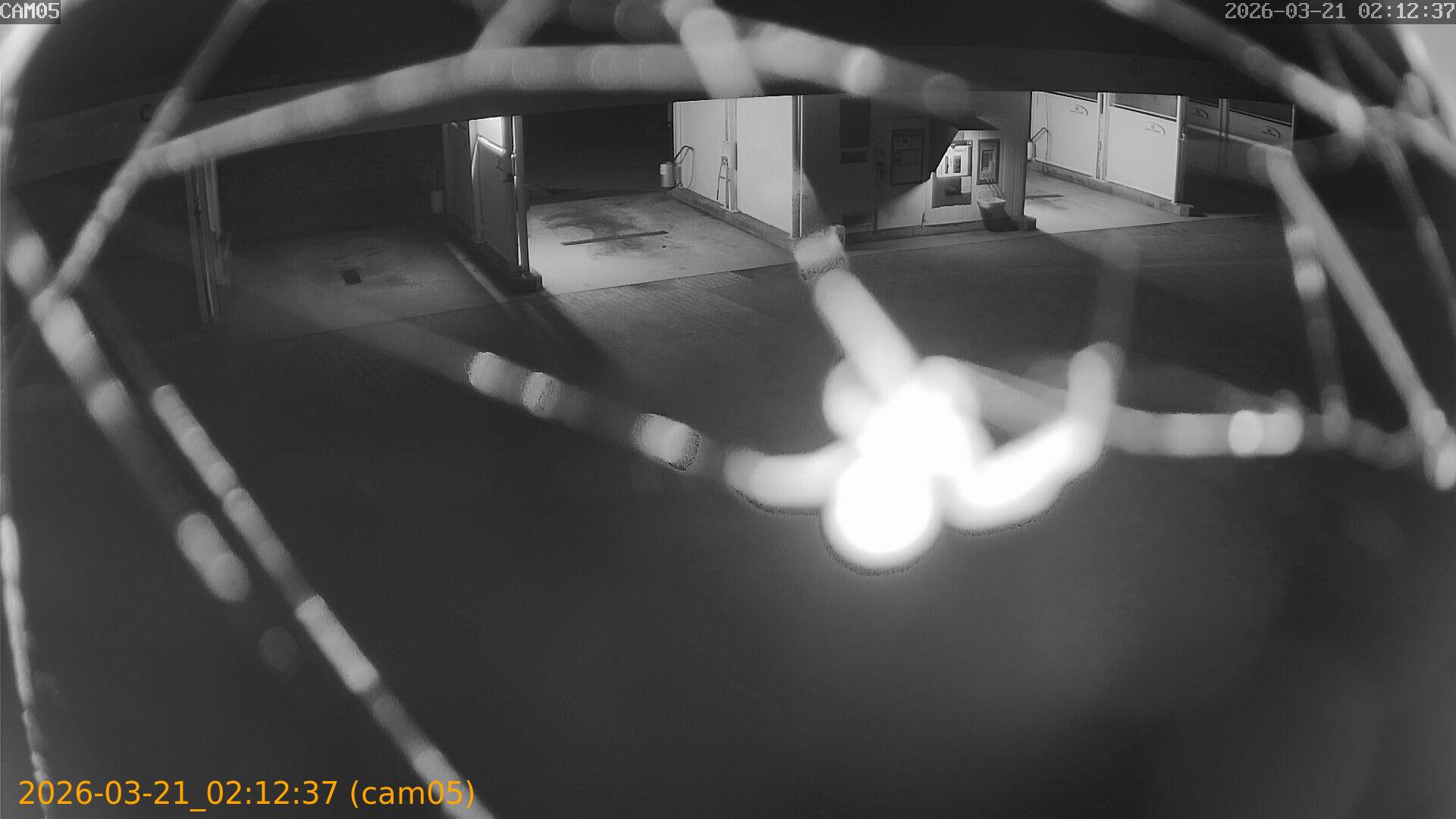 thumbnail_20260321021237