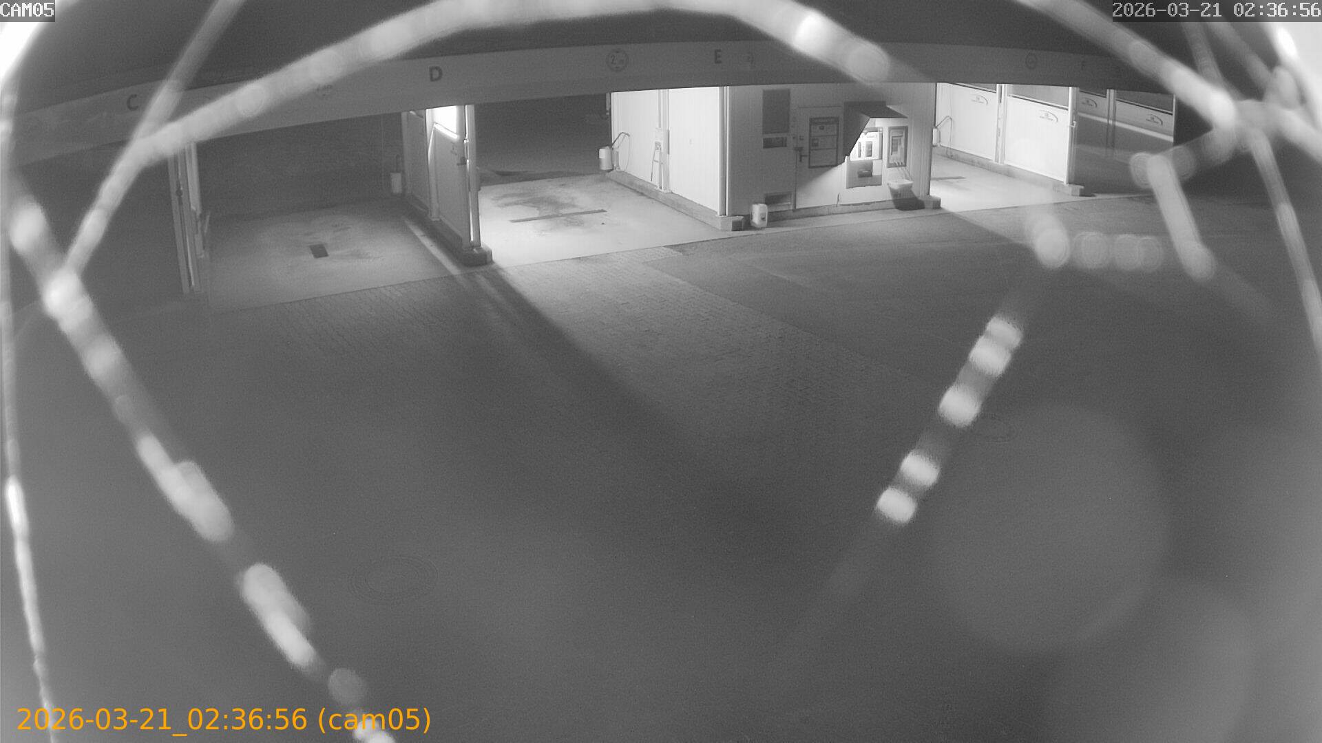 thumbnail_20260321023656