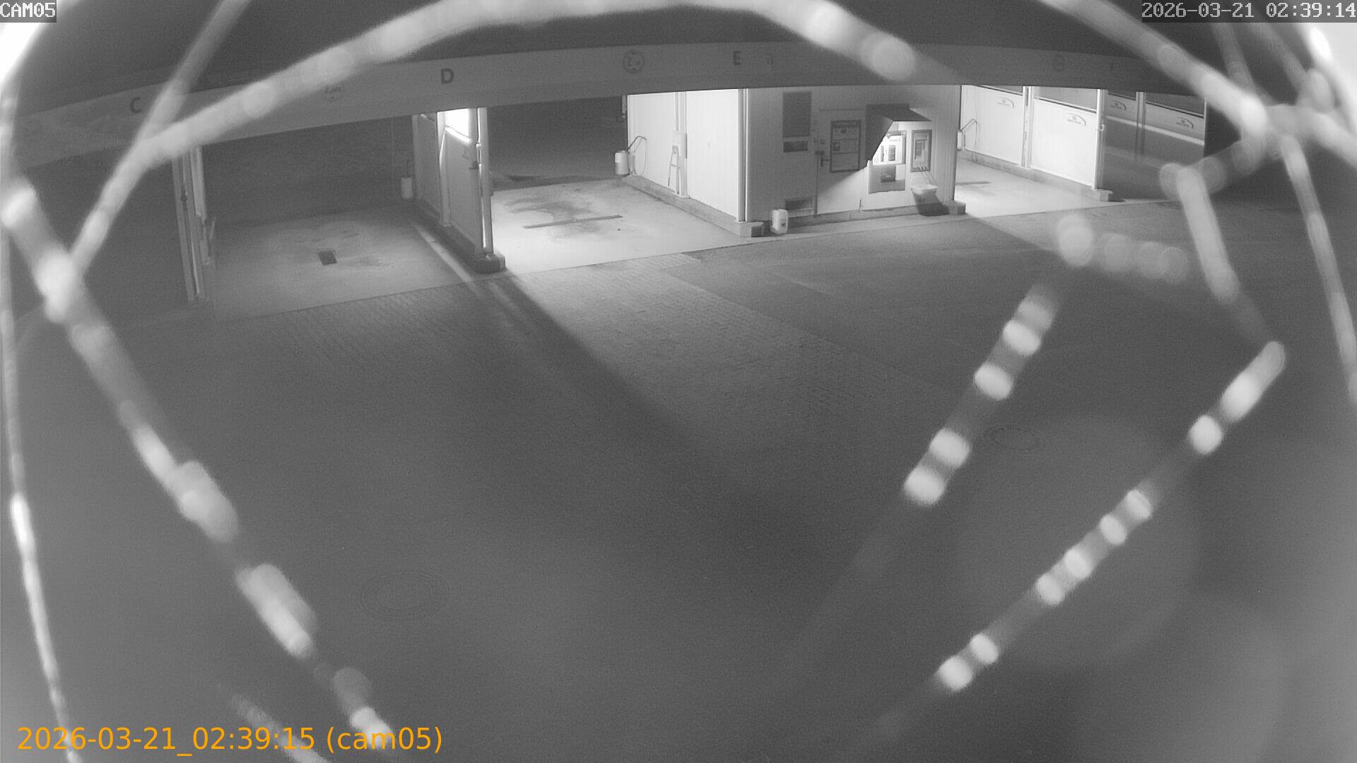 thumbnail_20260321023915