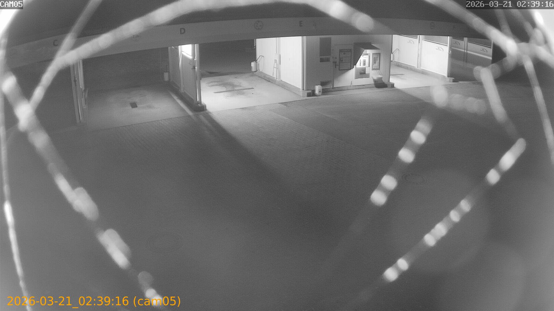 thumbnail_20260321023916