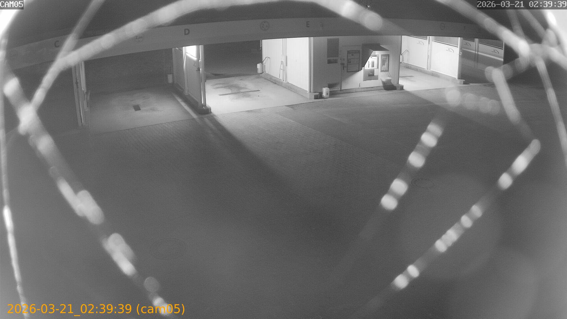 thumbnail_20260321023939