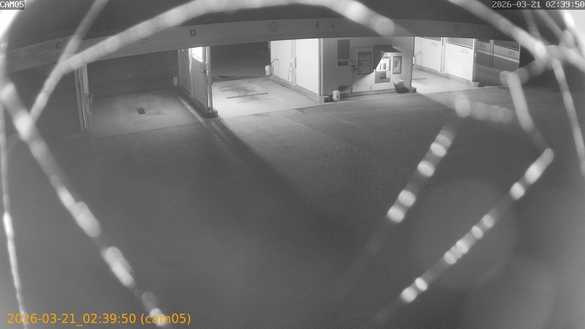 thumbnail_20260321023950