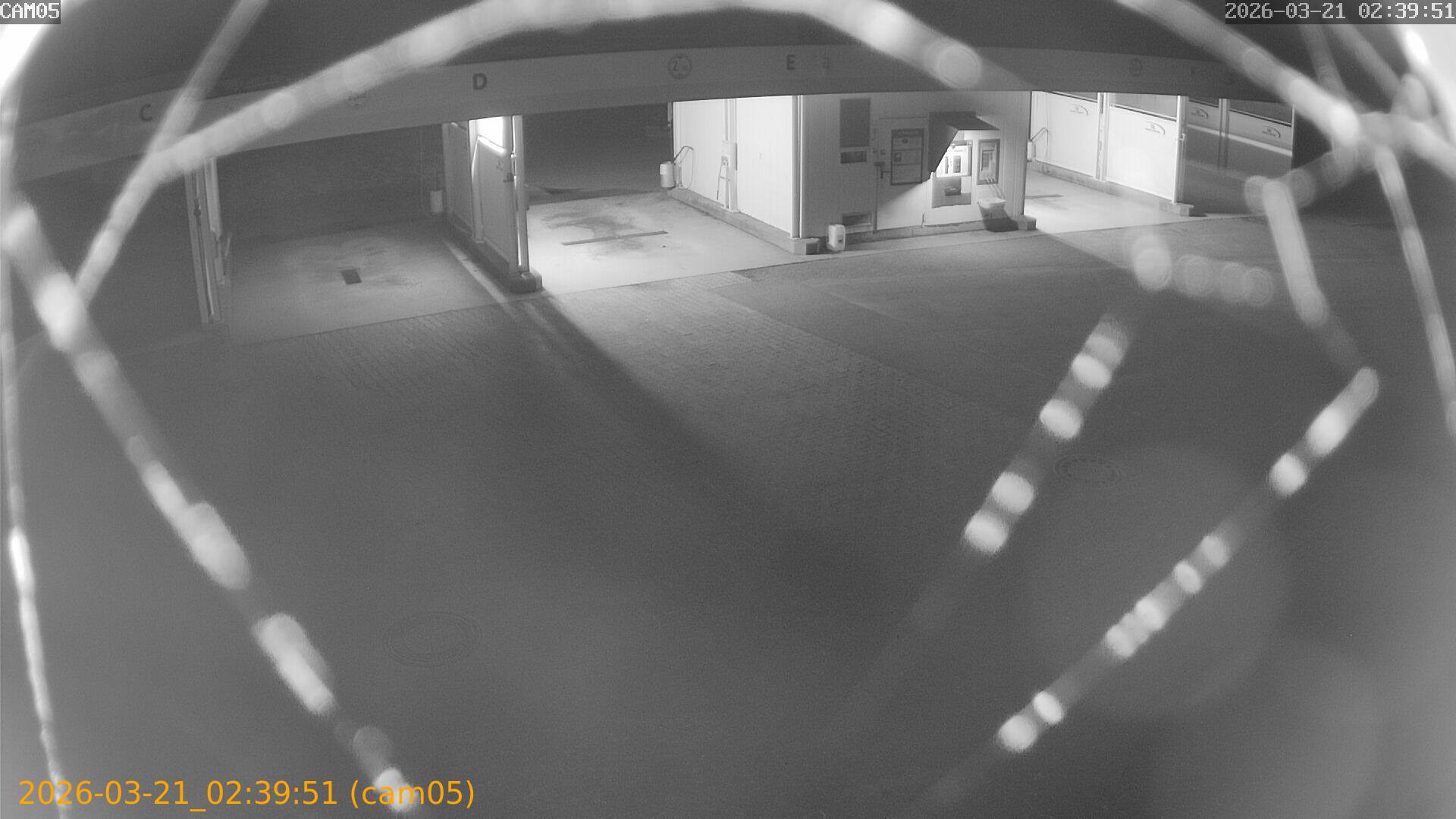 thumbnail_20260321023951