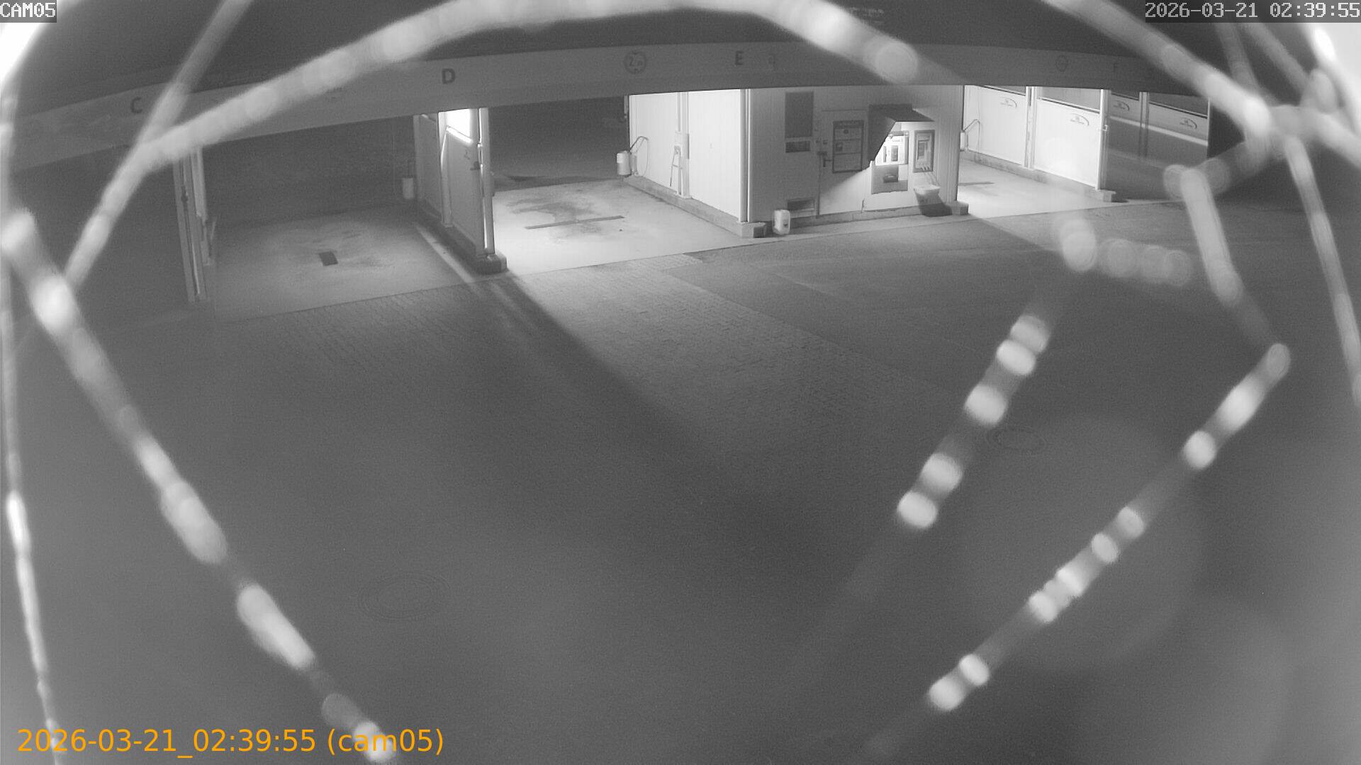 thumbnail_20260321023955