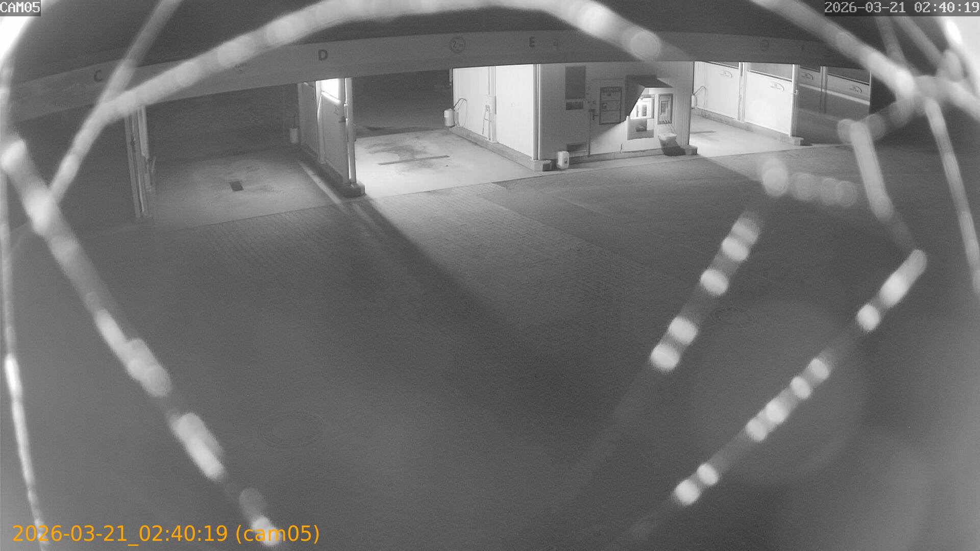 thumbnail_20260321024019