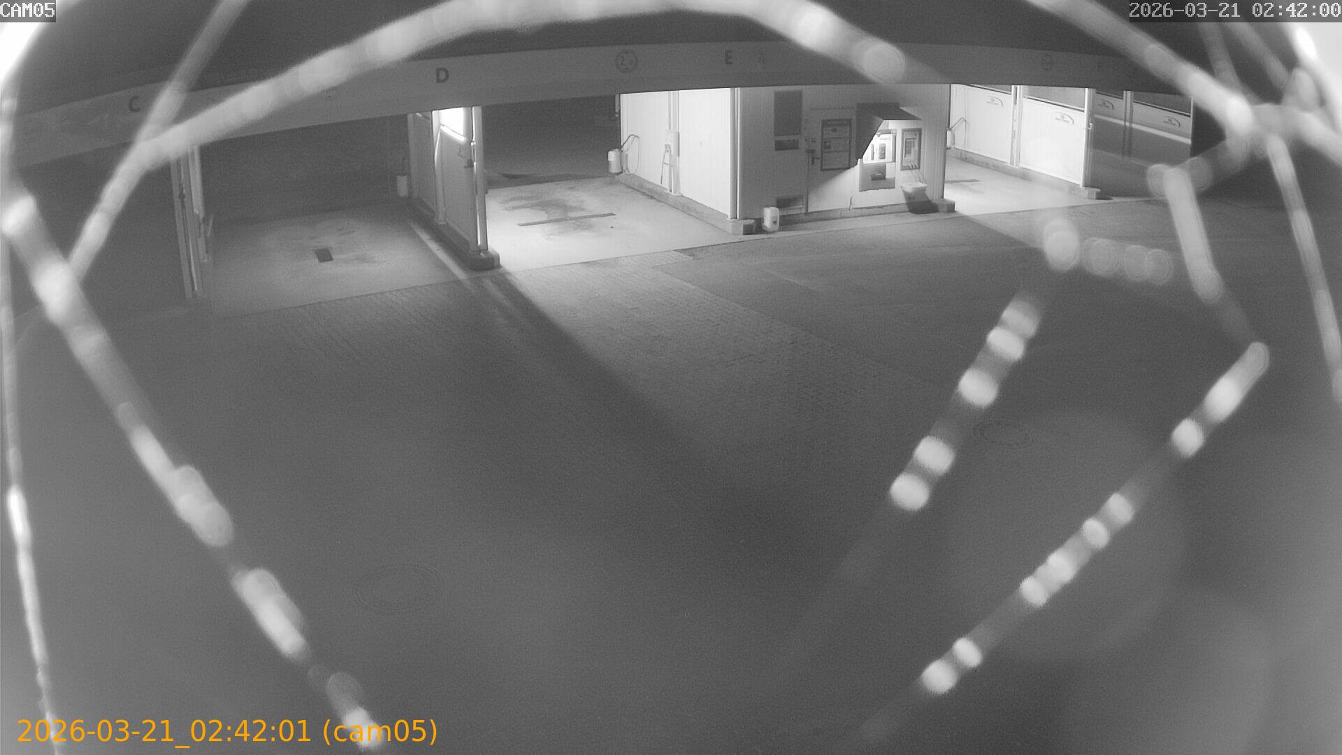 thumbnail_20260321024201