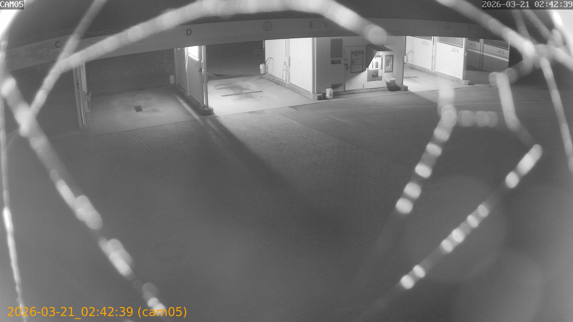 thumbnail_20260321024239