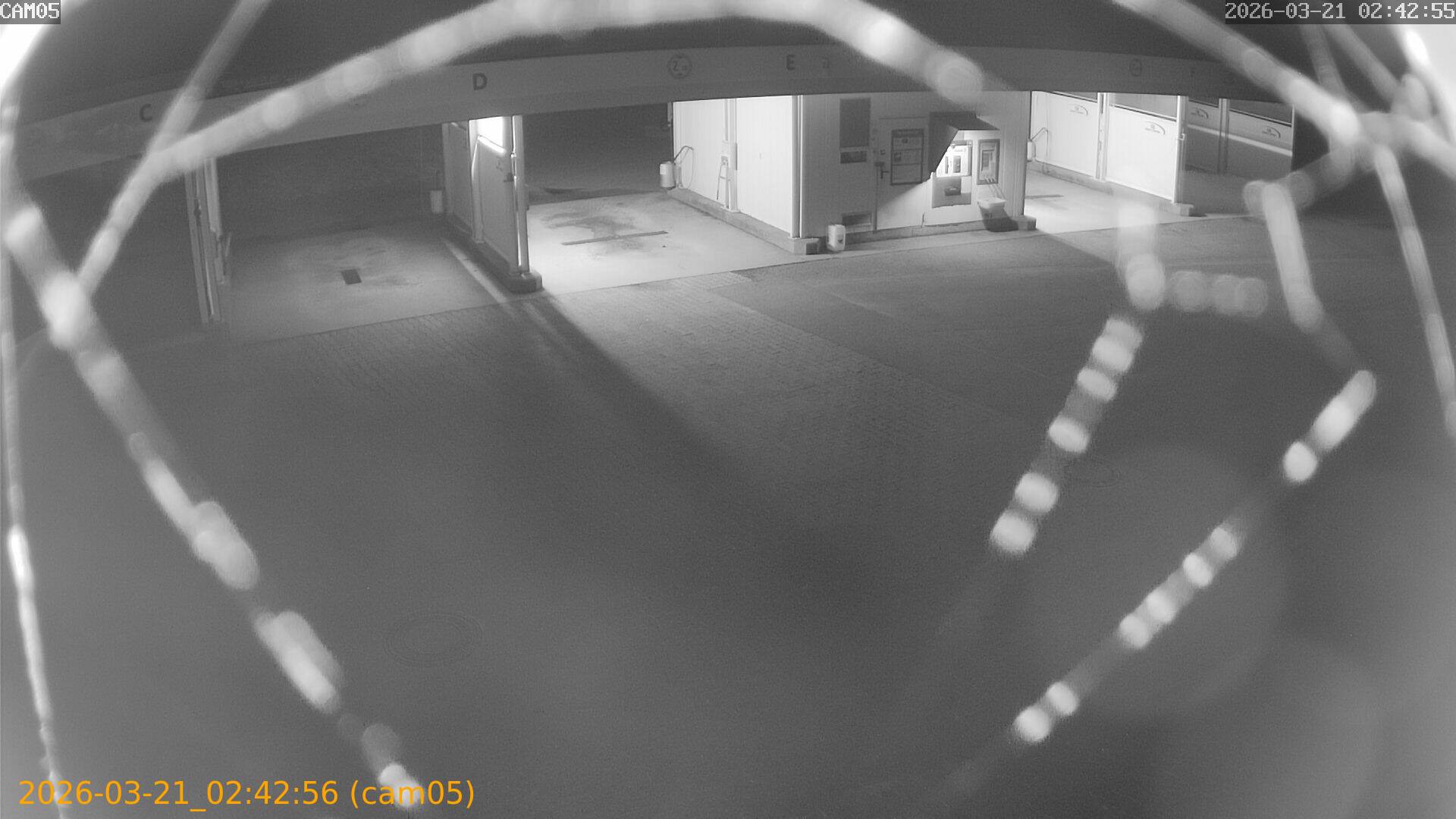 thumbnail_20260321024256