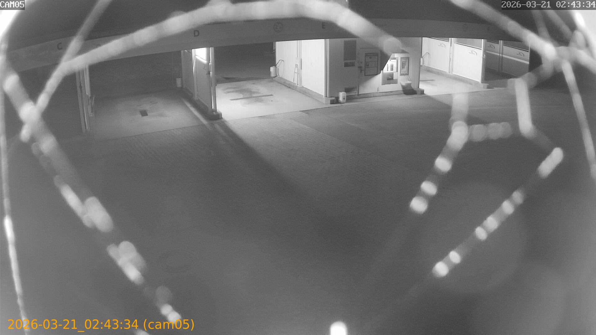 thumbnail_20260321024334