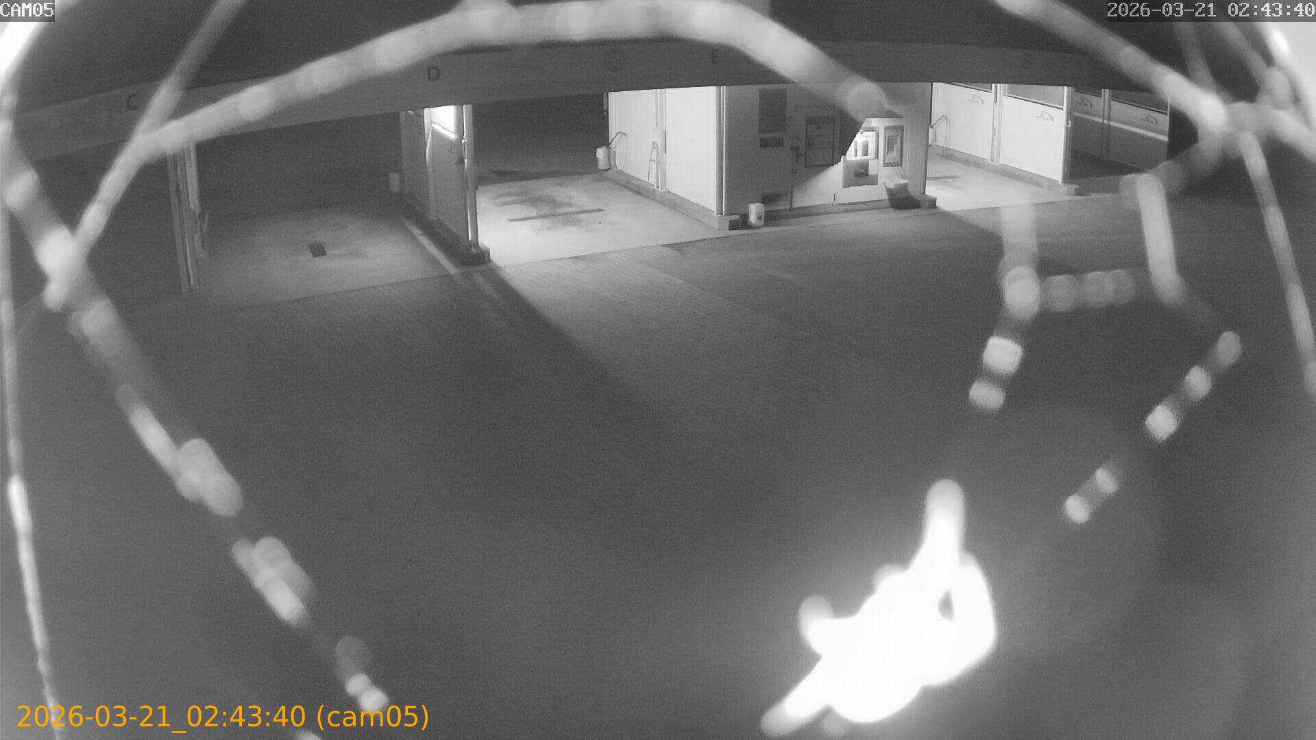 thumbnail_20260321024340