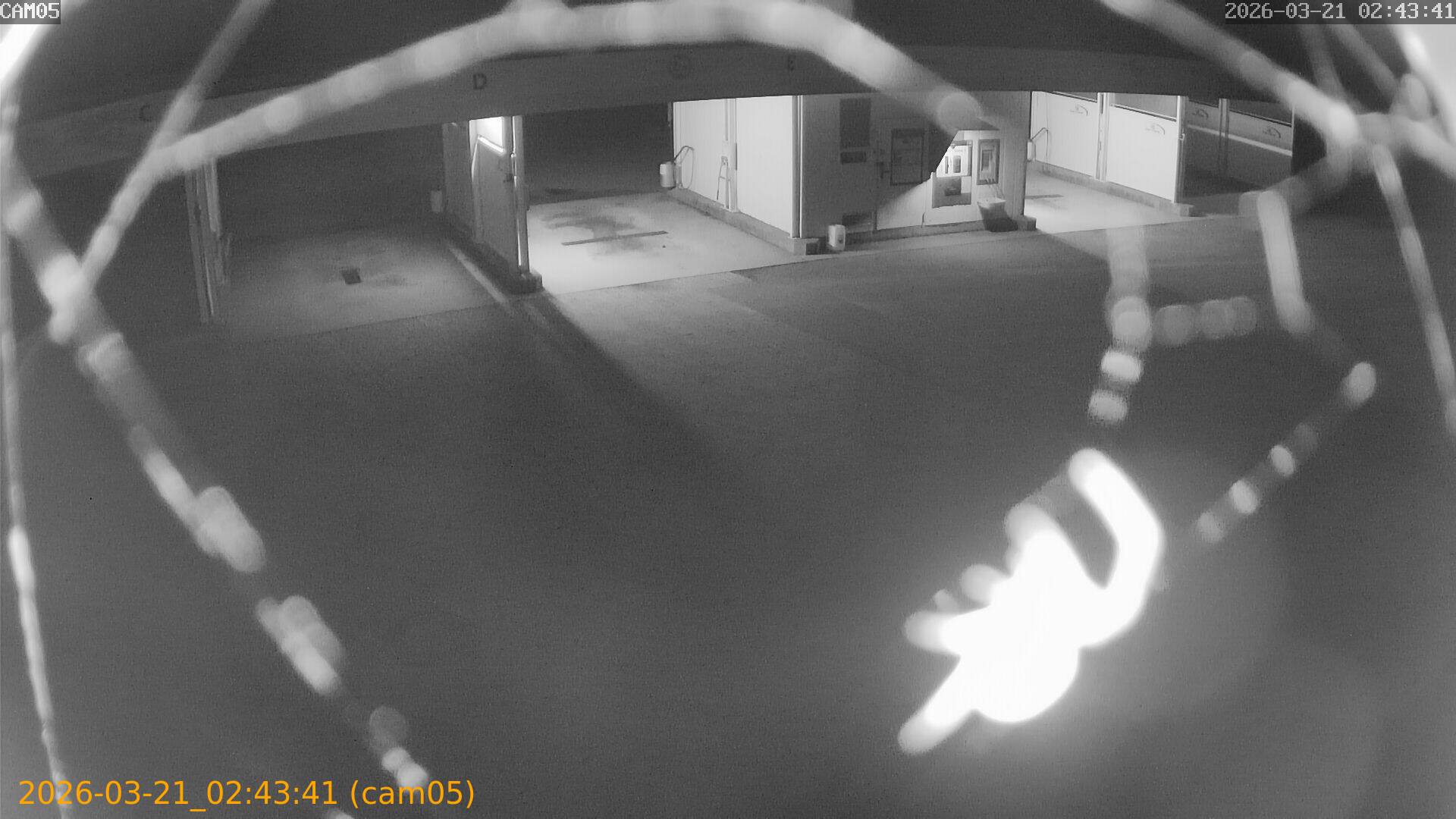 thumbnail_20260321024341